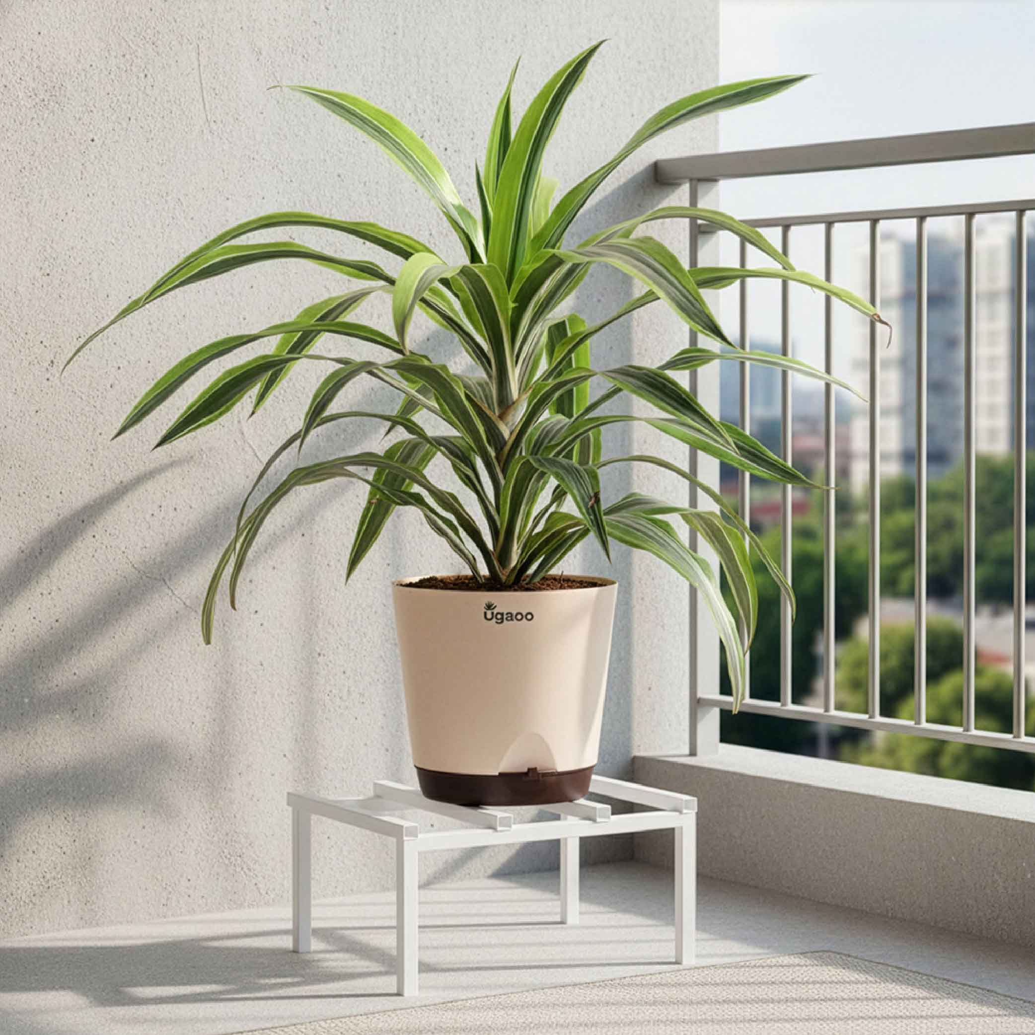 Rolling Plant Stand - White - Image 29