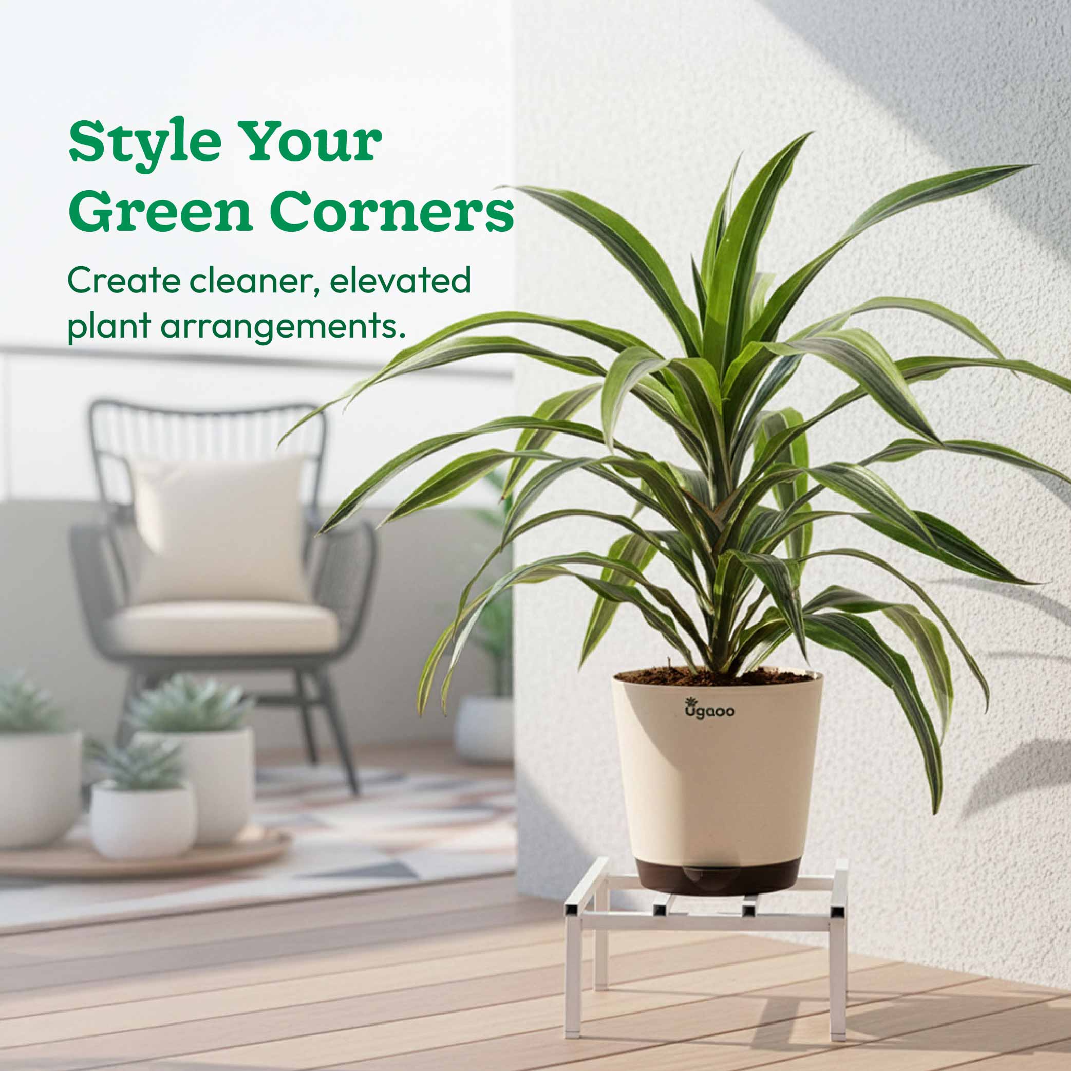 Rolling Plant Stand - White - Image 36