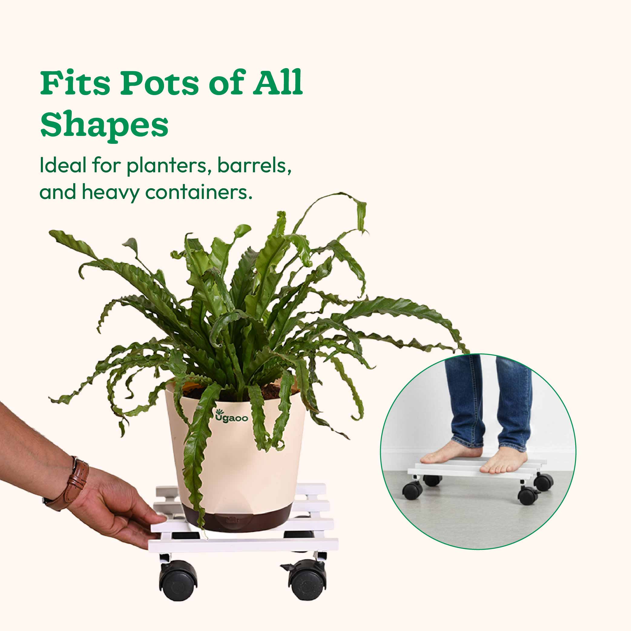 Rolling Plant Stand - White - Image 7