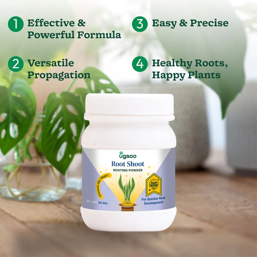 Rooting Hormone Powder - 50 g - Image 3
