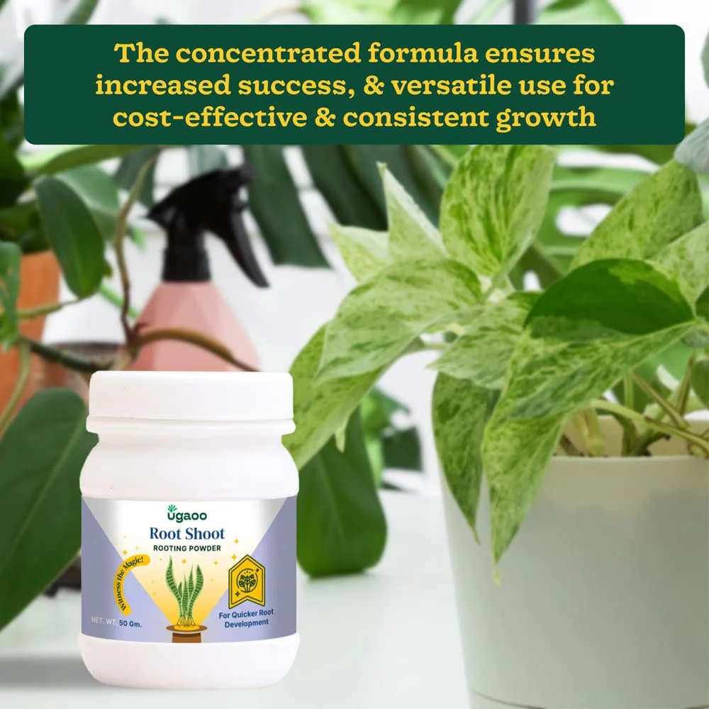 Rooting Hormone Powder - 50 g - Image 6