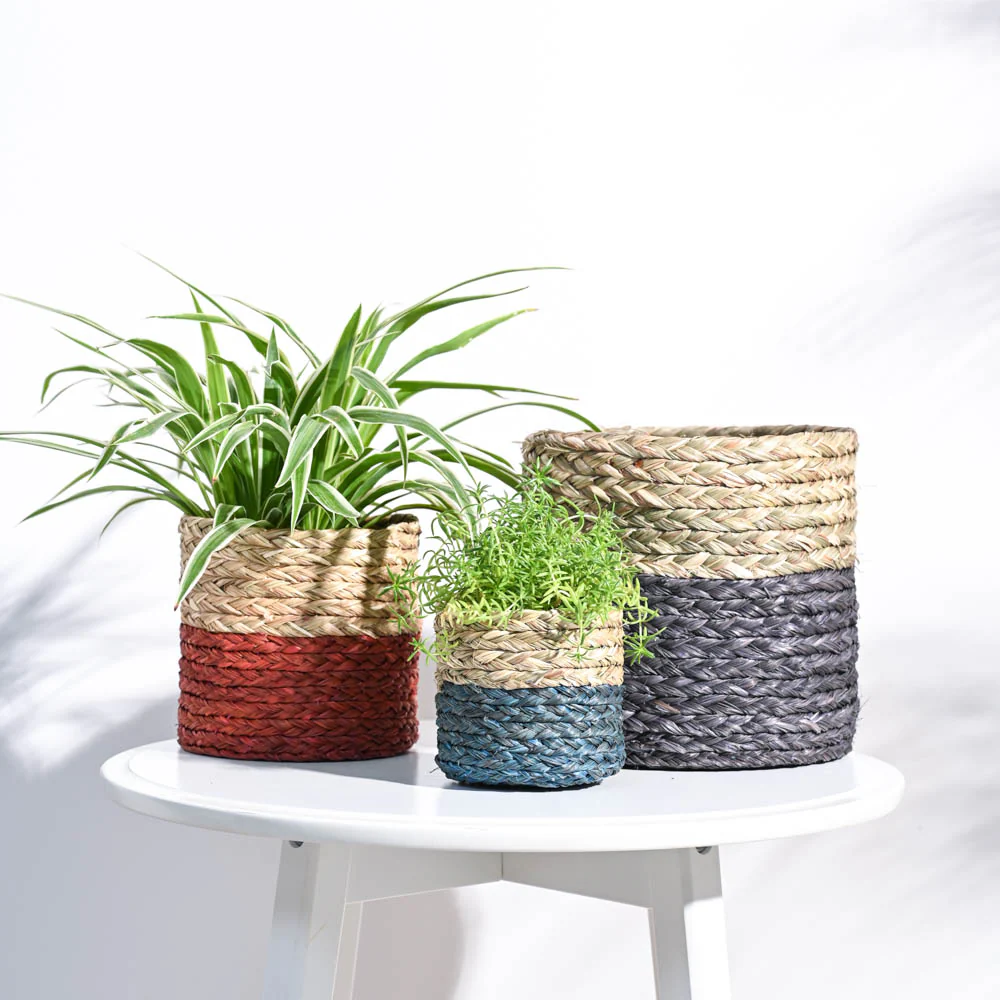 Sabai Grass Planter - Image 16