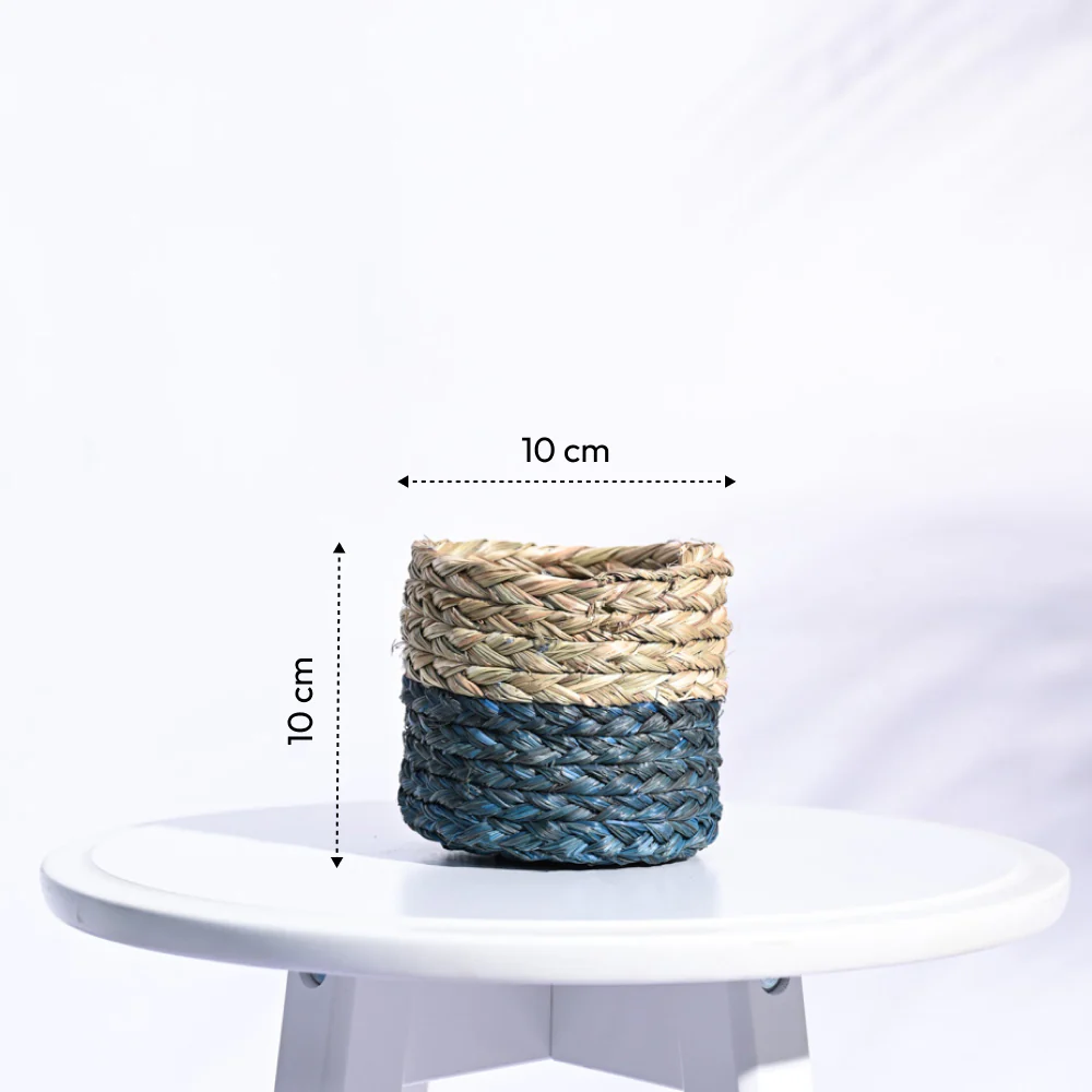 Sabai Grass Planter - Image 3