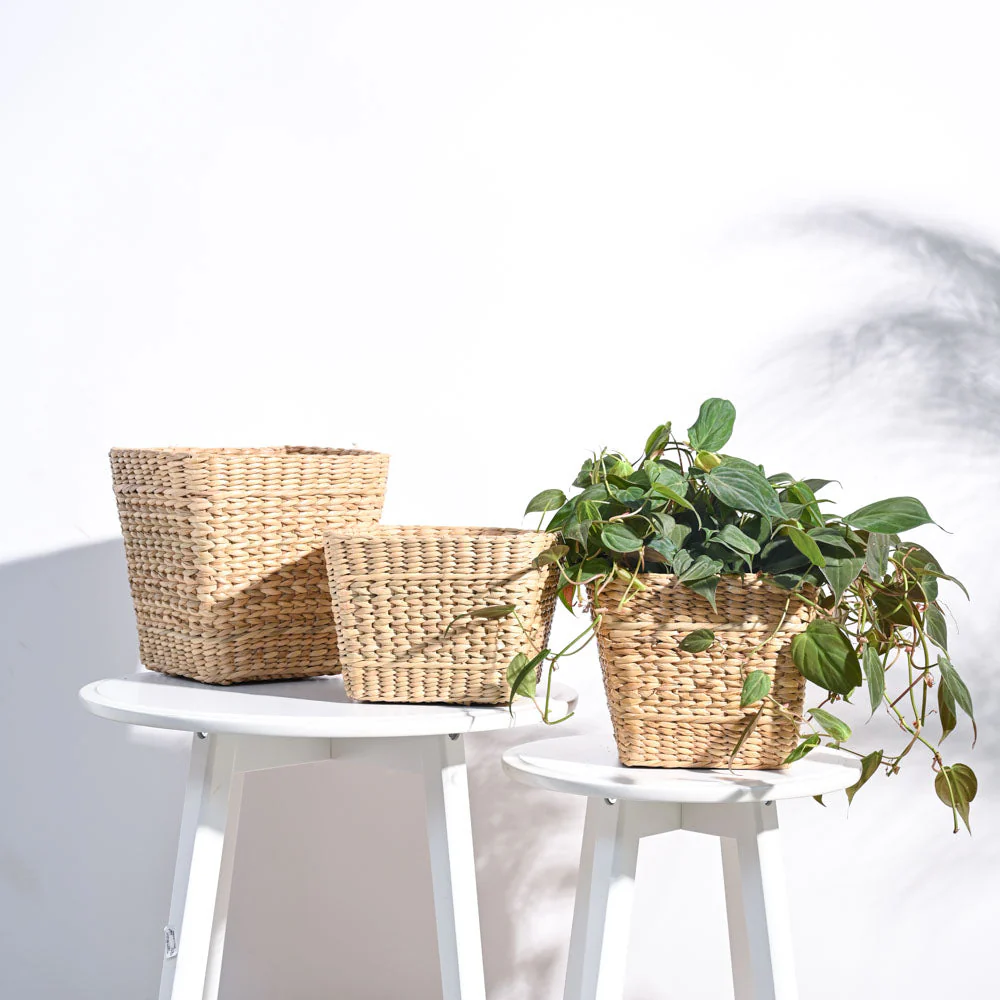 Seagrass Planter - Image 16