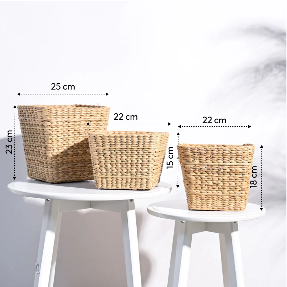 Seagrass Planter - Image 17
