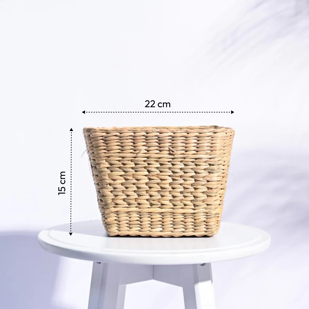 Seagrass Planter - Image 3