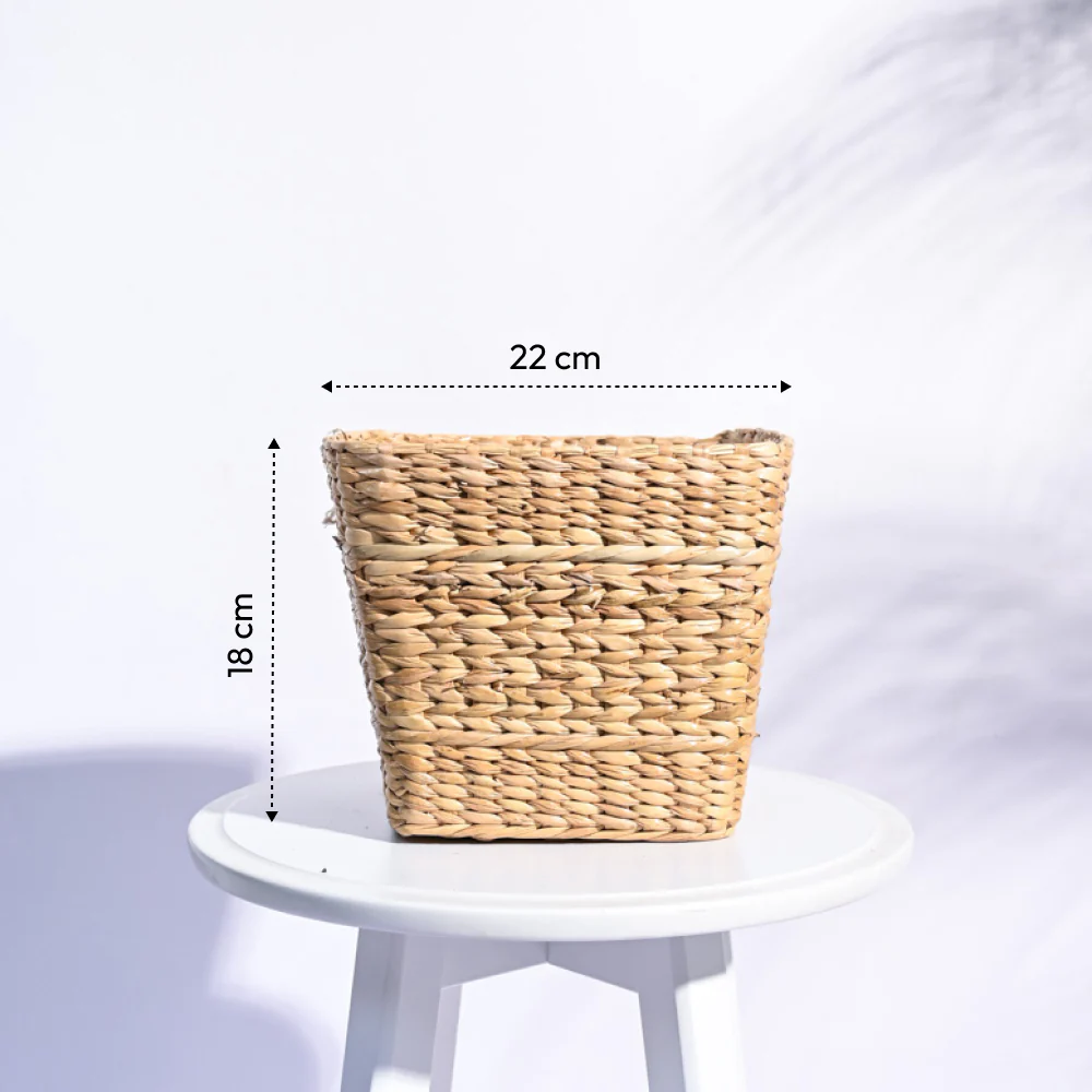 Seagrass Planter - Image 8