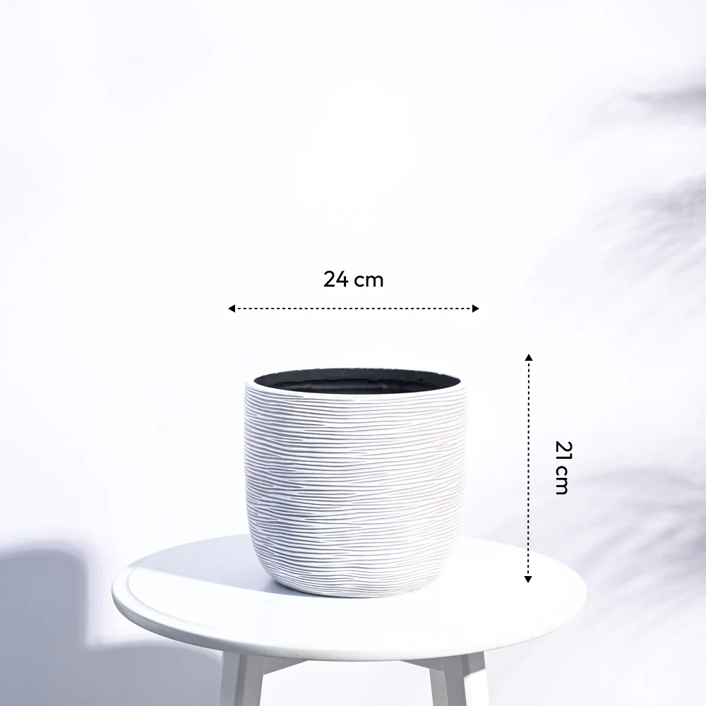Zuri Planter Ball Rib - Image 26