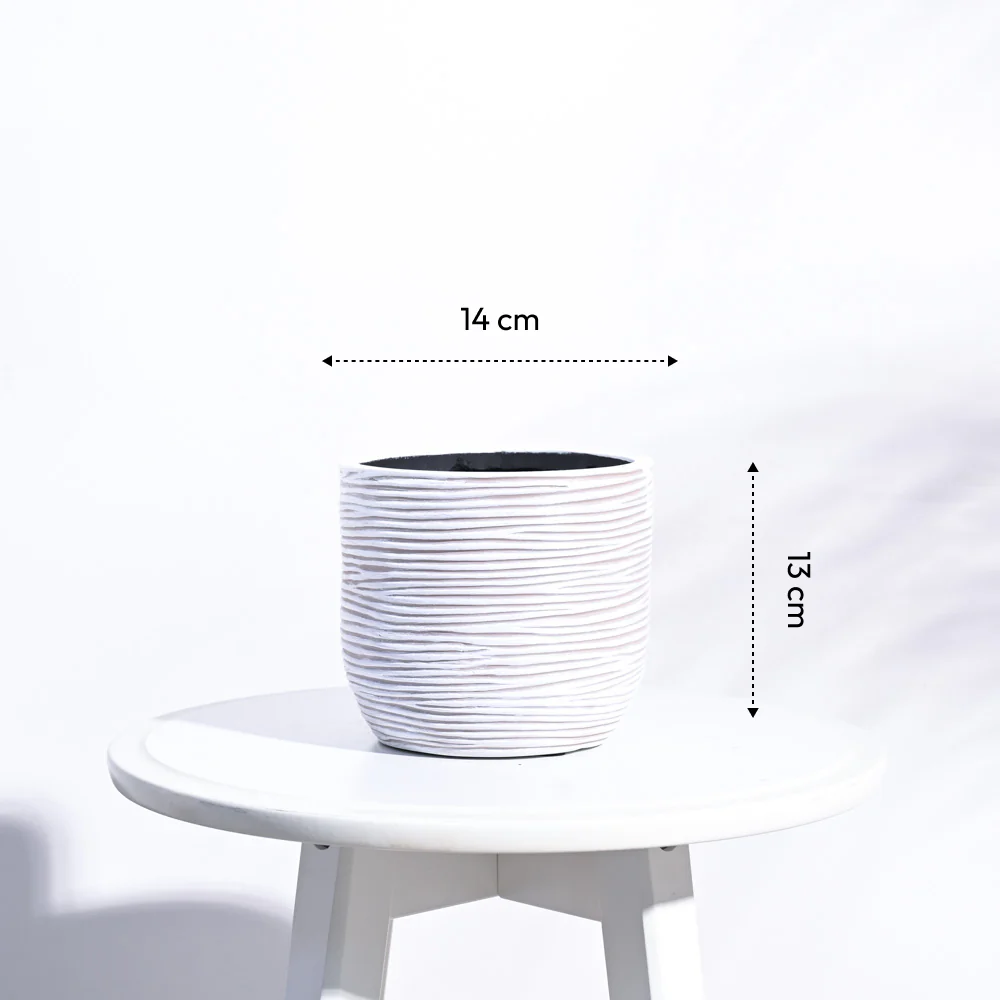 Zuri Planter Ball Rib - Image 3