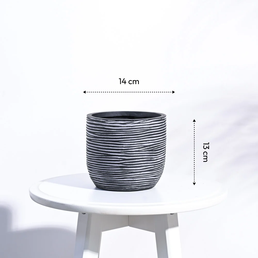 Zuri Planter Ball Rib - Image 9