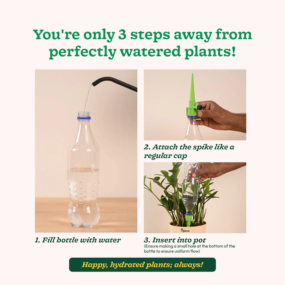 Self Watering Spikes - Image 4