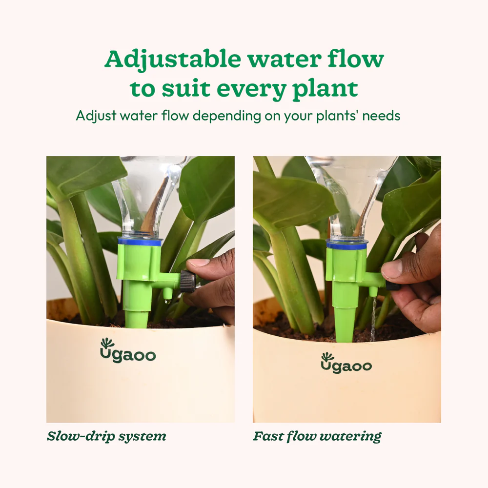 Self Watering Spikes - Image 6