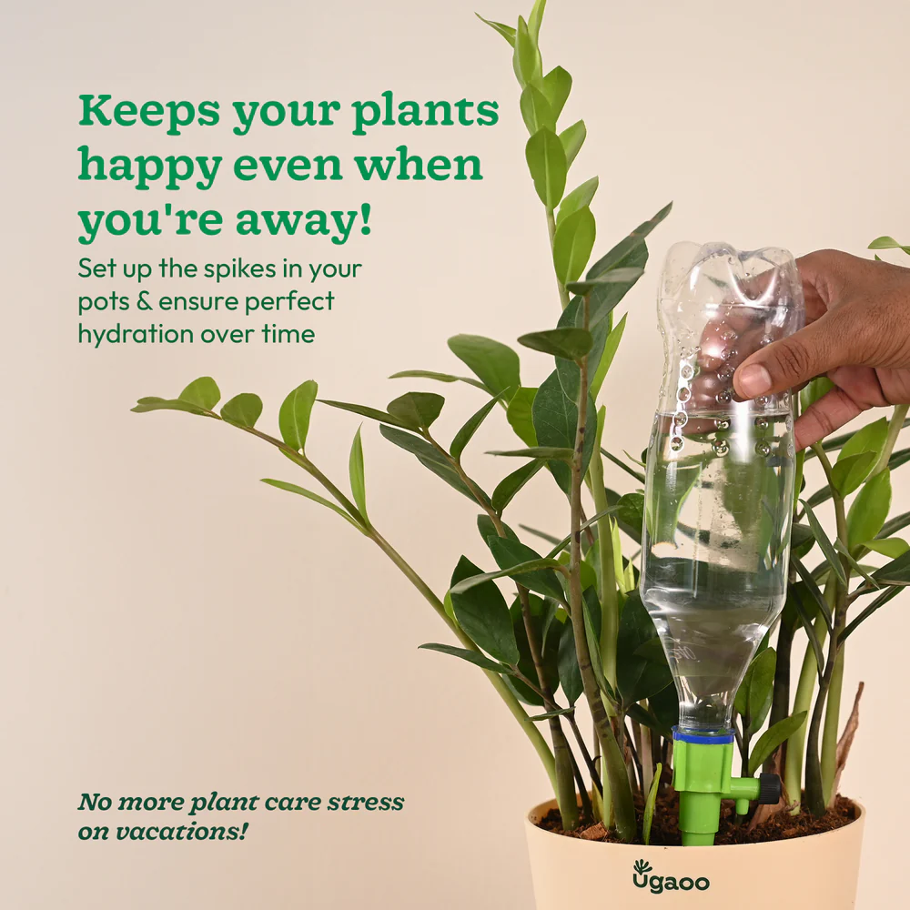 Self Watering Spikes - Image 7