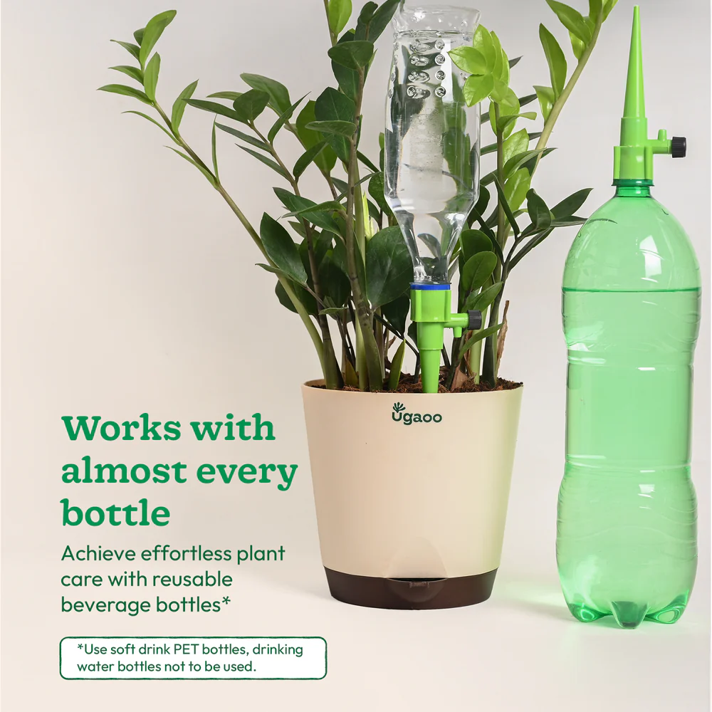 Self Watering Spikes - Image 8