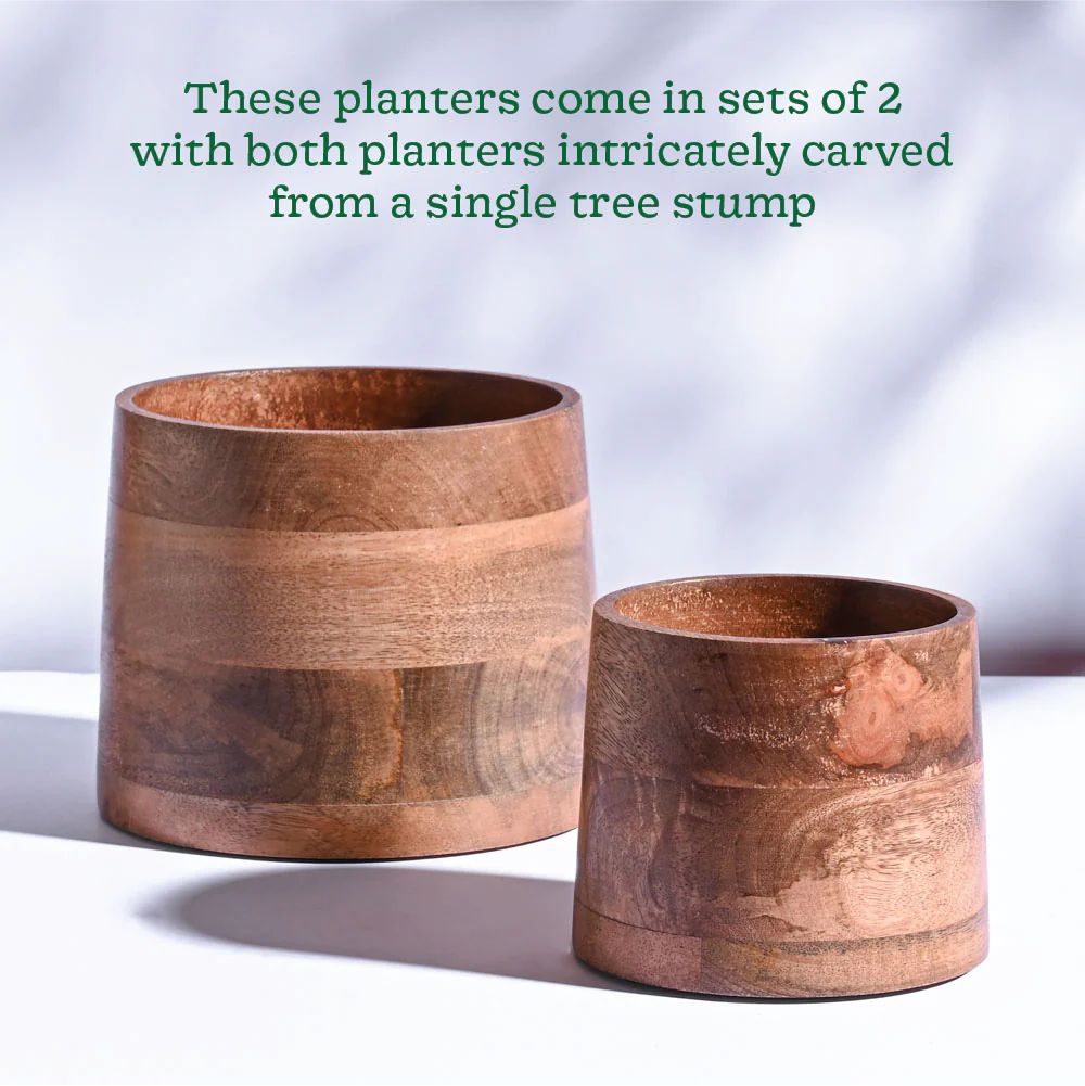 Gradient Wooden Planter - Set of 2 - Image 5