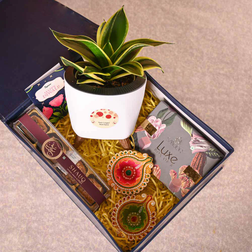 Snake Plant - Golden Hahnii Diwali Gift Hamper - Image 8