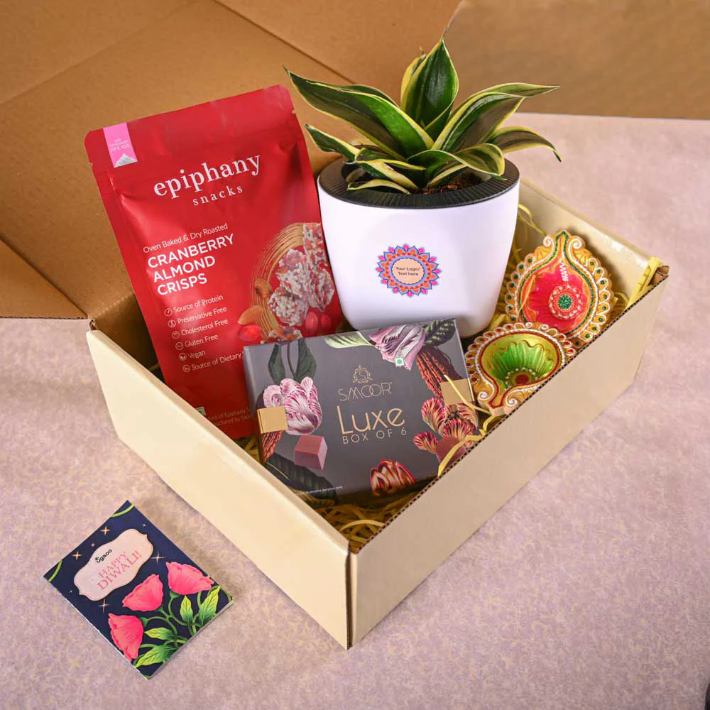 Snake Plant - Golden Hahnii Diwali Hamper - Image 8