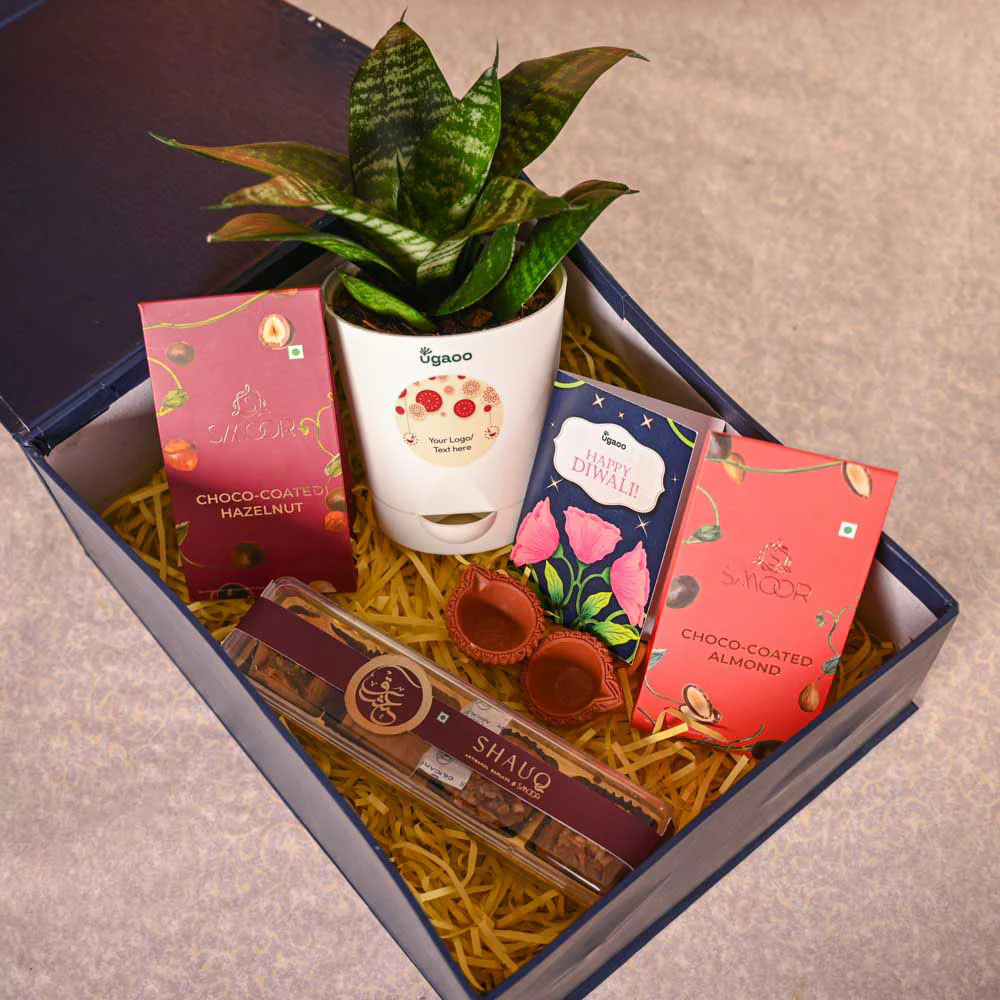 Snake Plant - Green Diwali Gift Hamper - Image 9