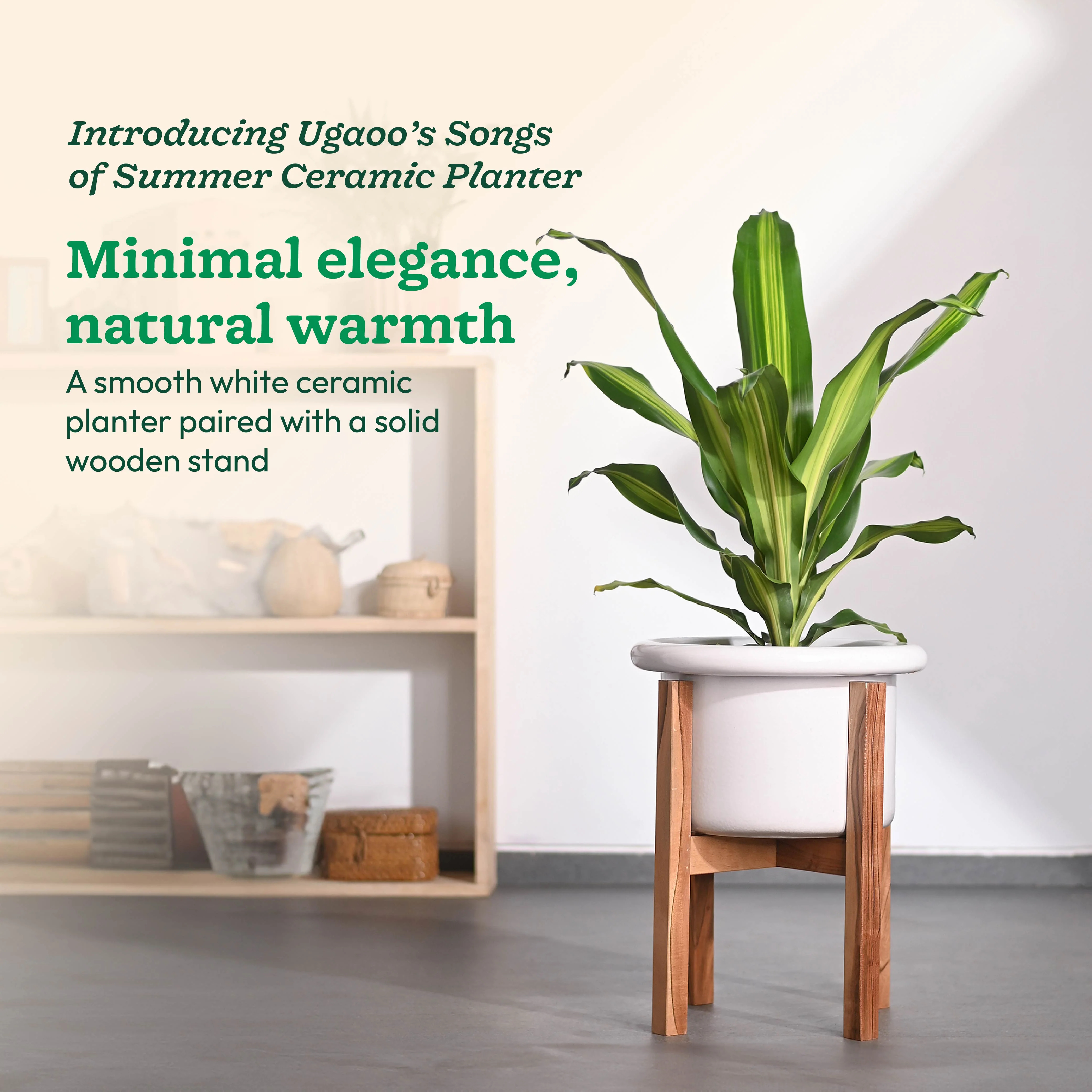Songs of Summer Ceramic Planter - Image 2