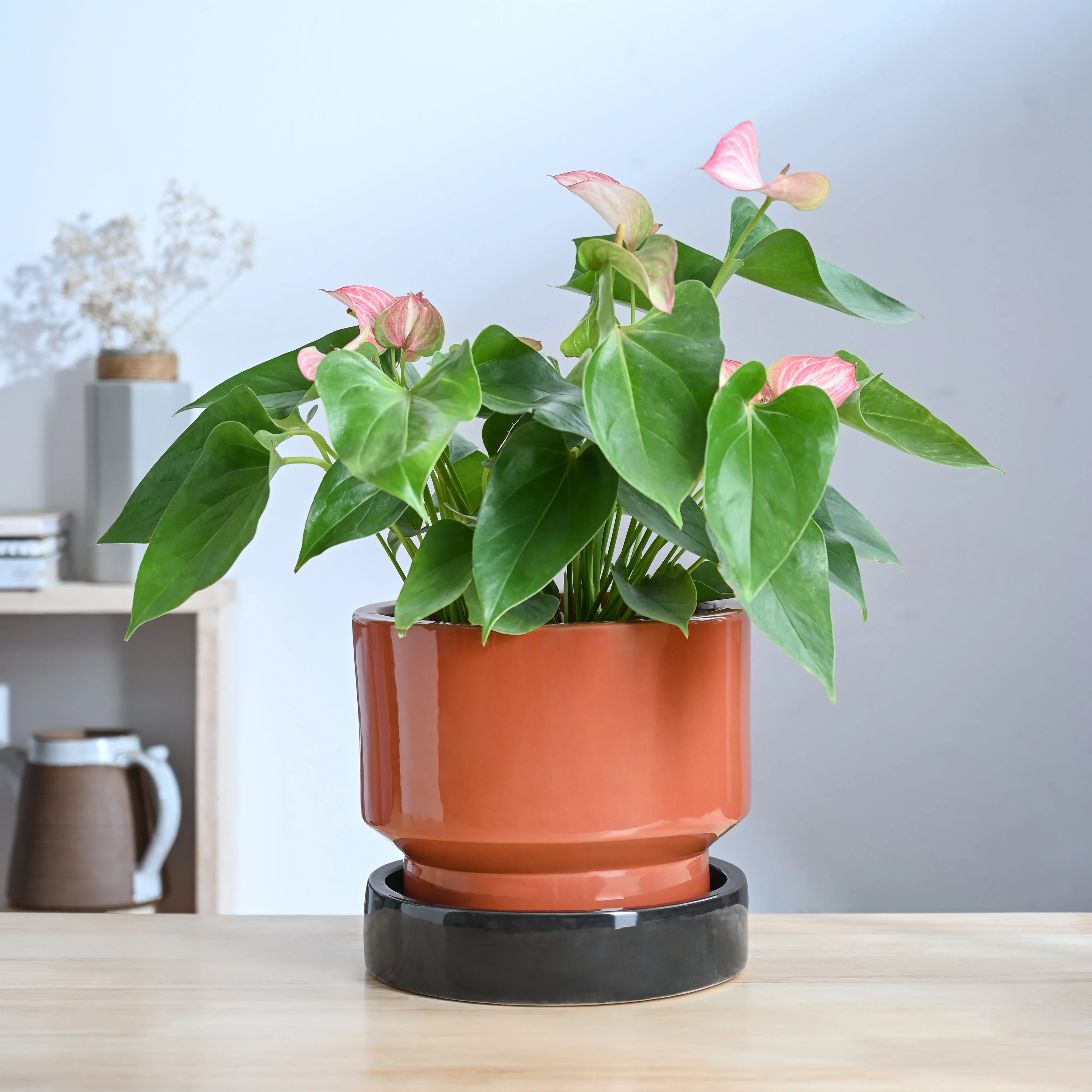 Soothing Rains Ceramic Planters - Image 17