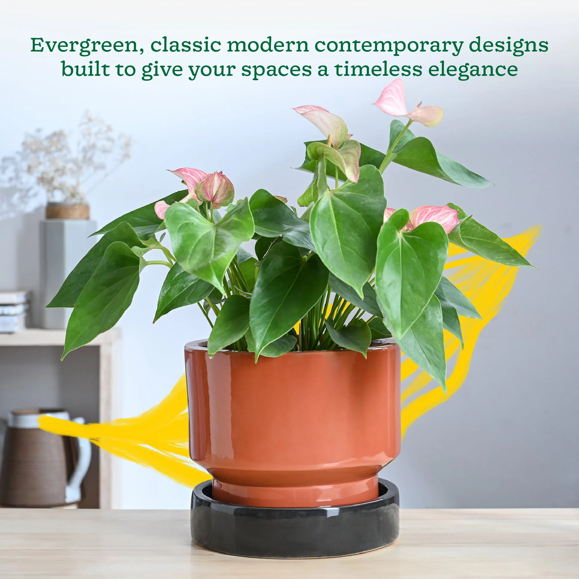 Soothing Rains Ceramic Planters - Image 23