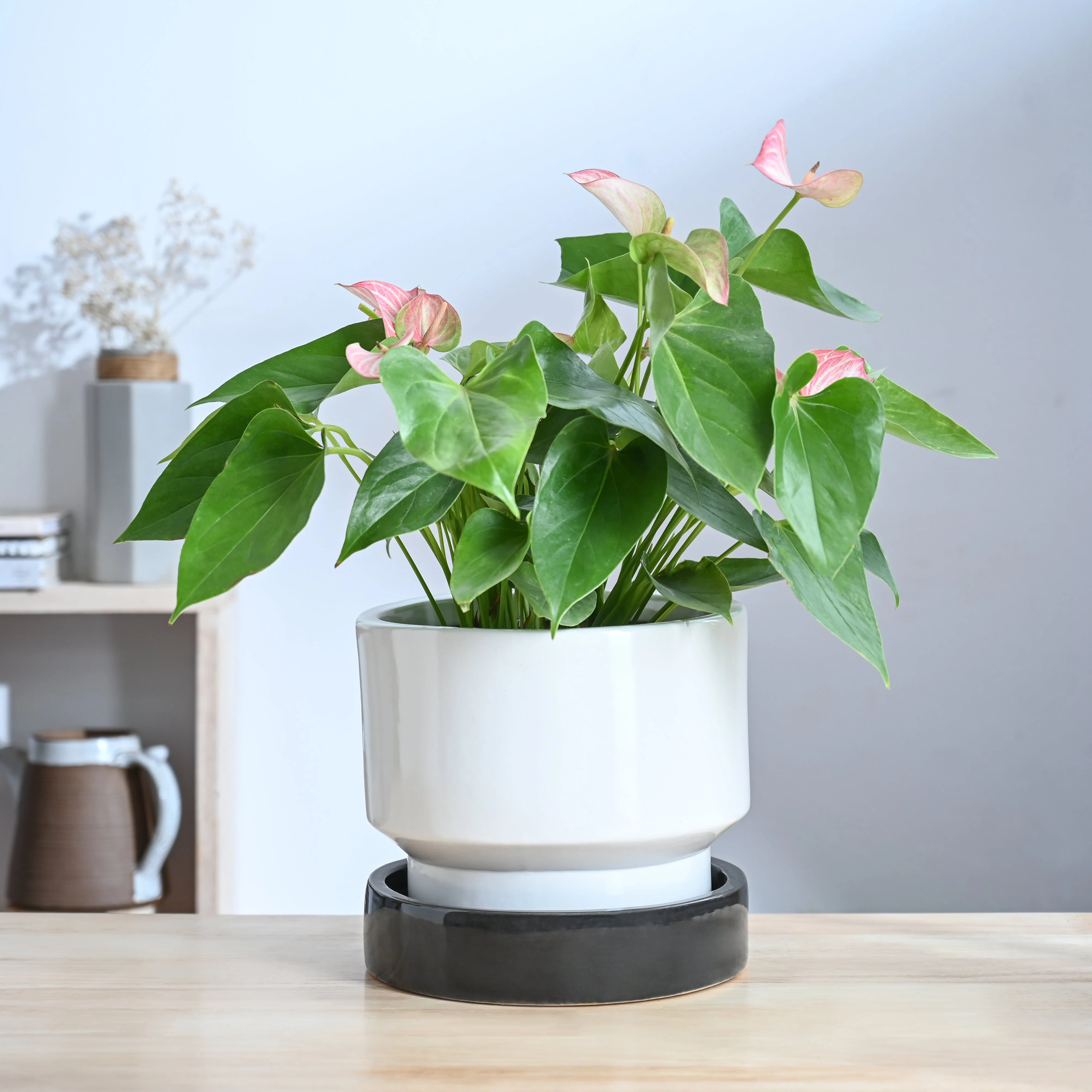 Soothing Rains Ceramic Planters - Image 25
