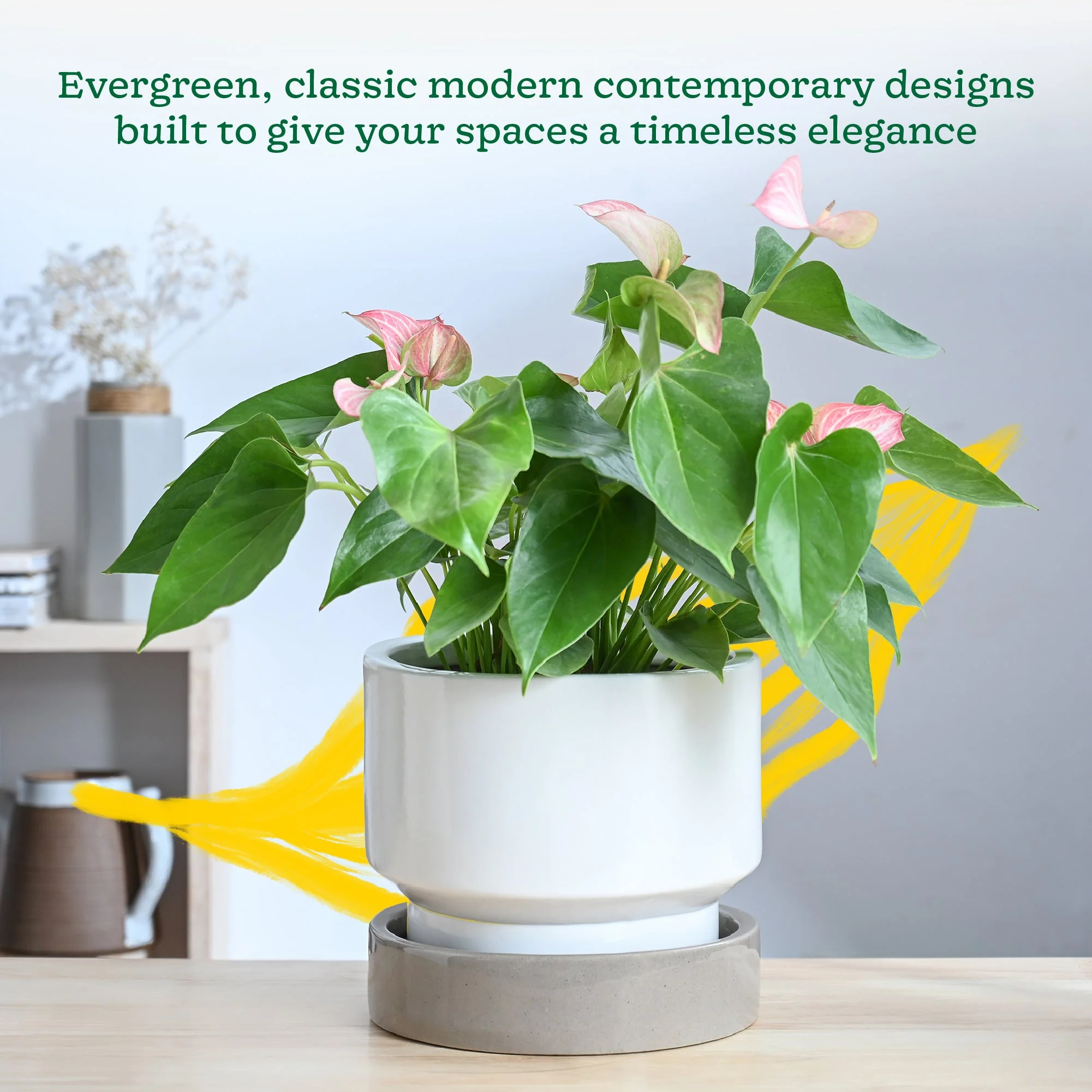 Soothing Rains Ceramic Planters - Image 39