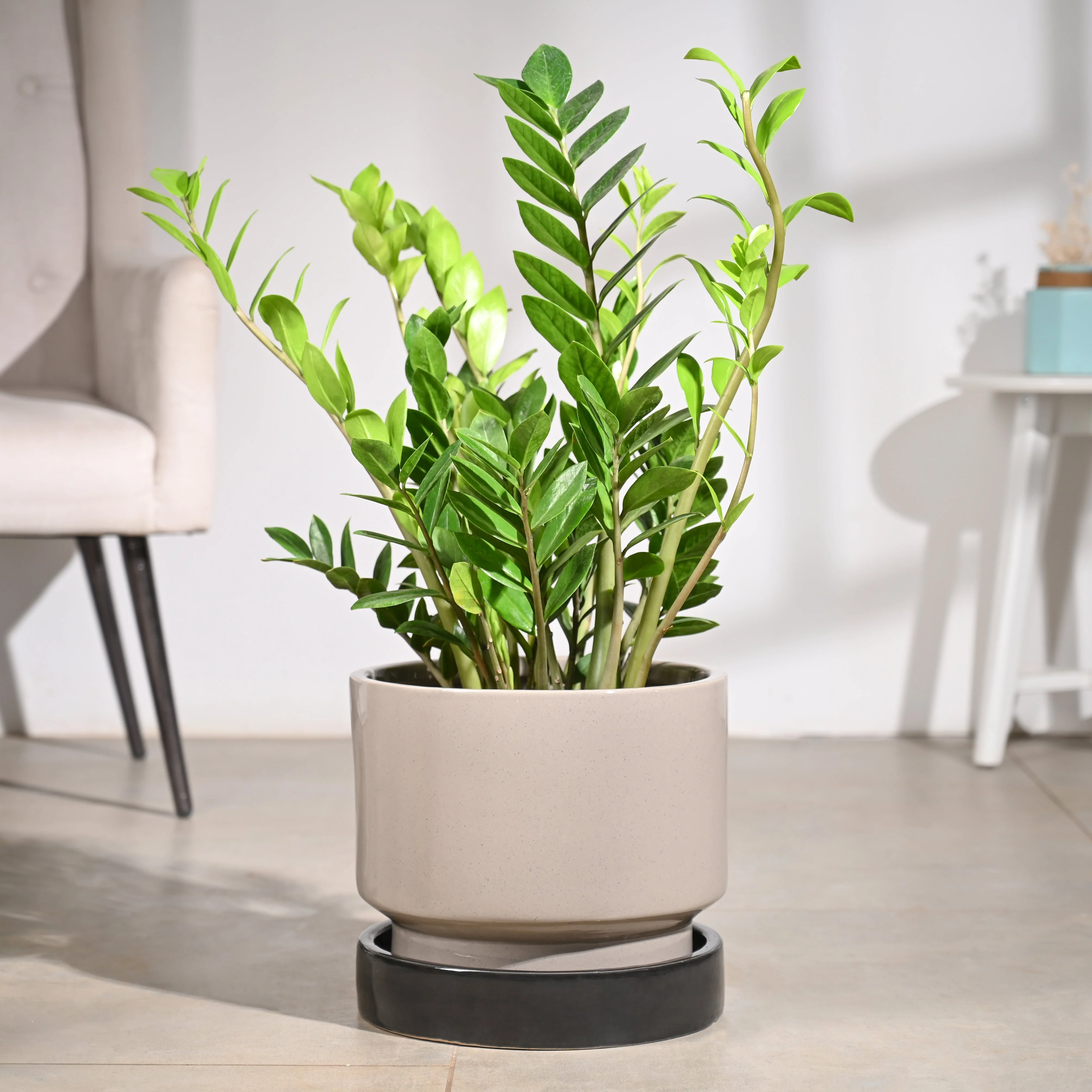 Soothing Rains Ceramic Planters - Image 41
