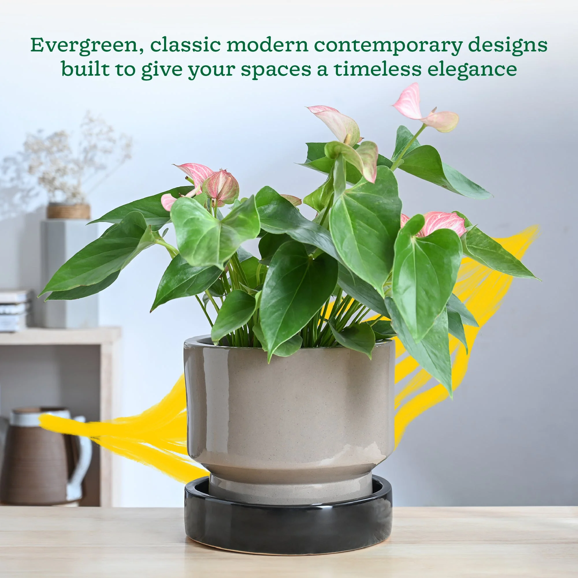 Soothing Rains Ceramic Planters - Image 47