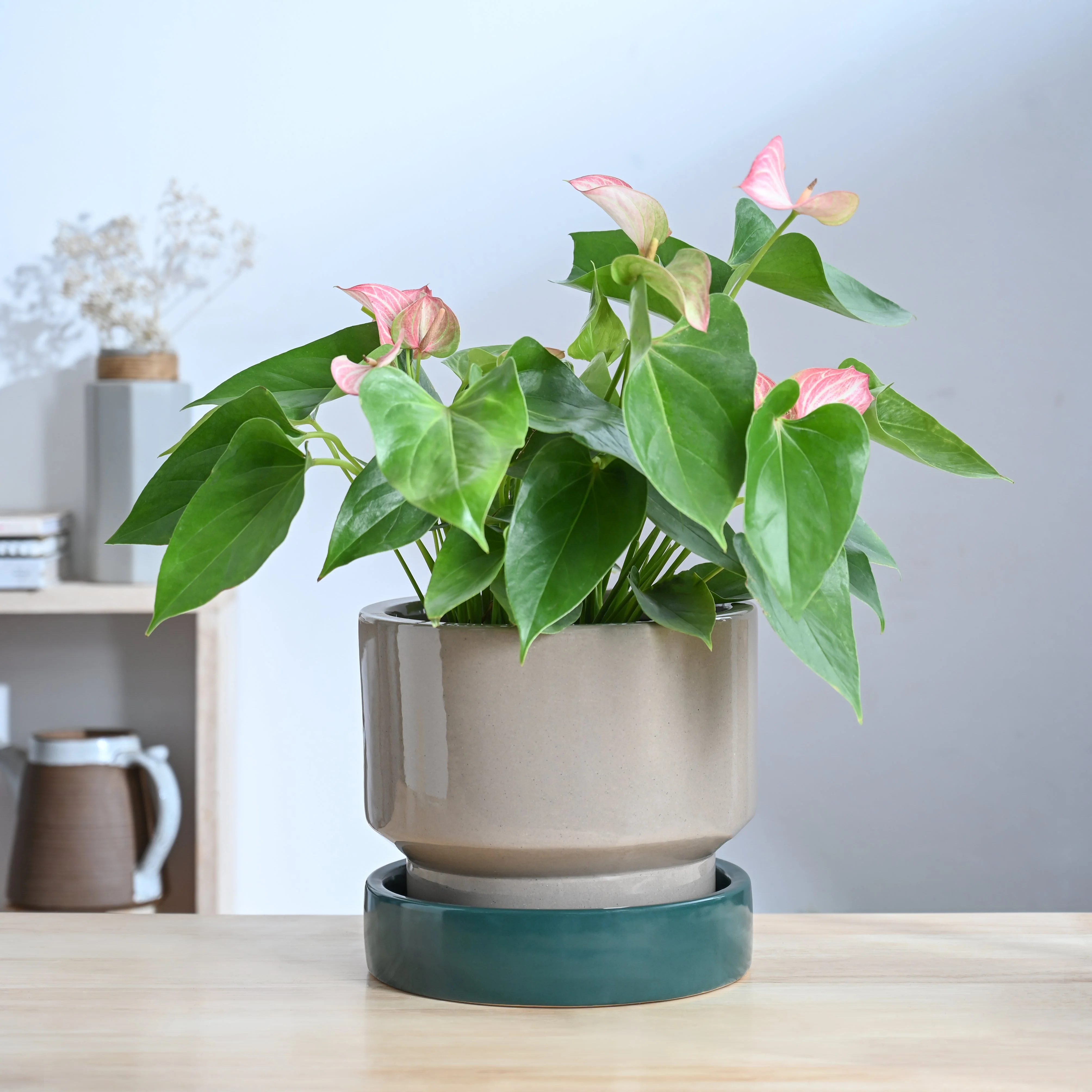 Soothing Rains Ceramic Planters - Image 49