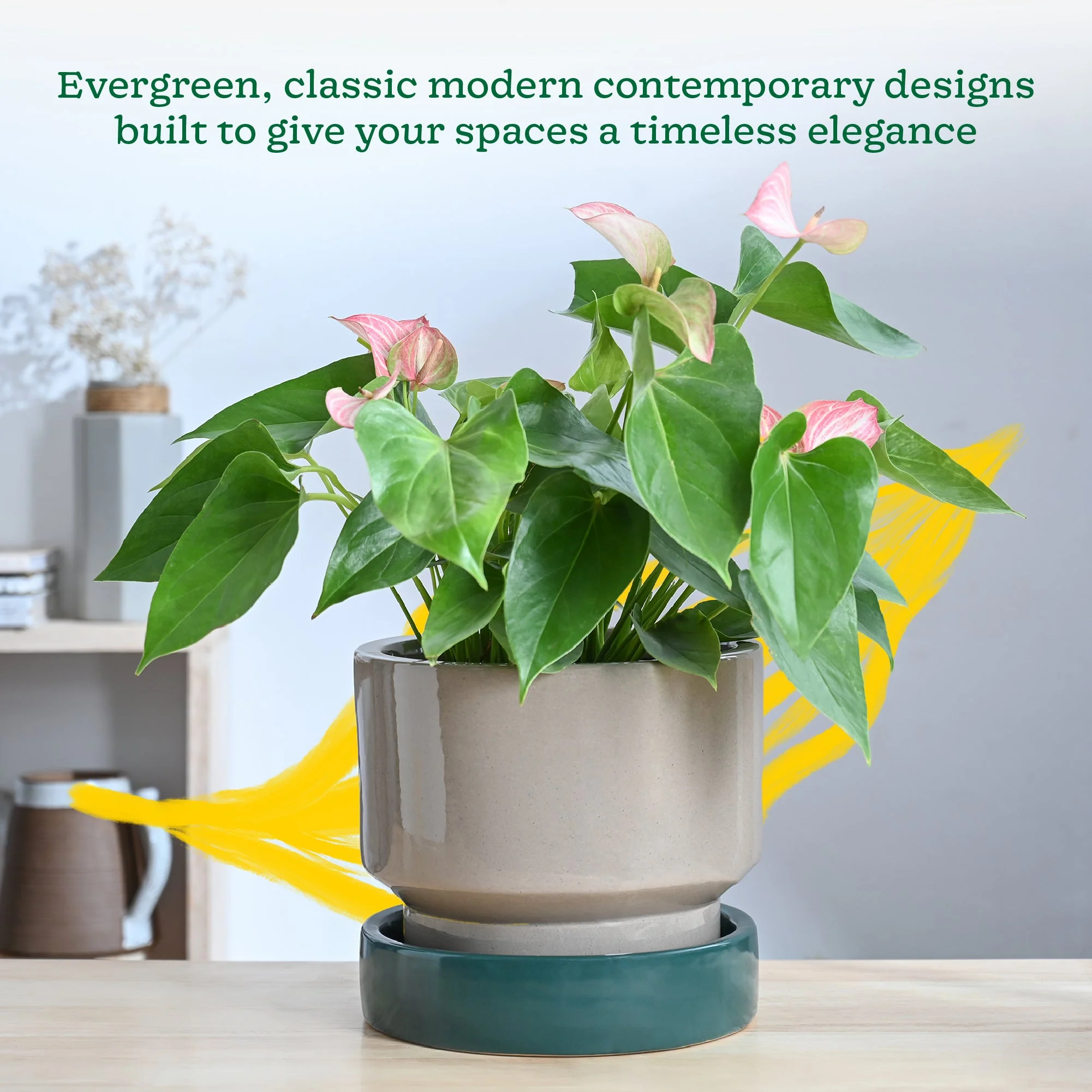Soothing Rains Ceramic Planters - Image 55