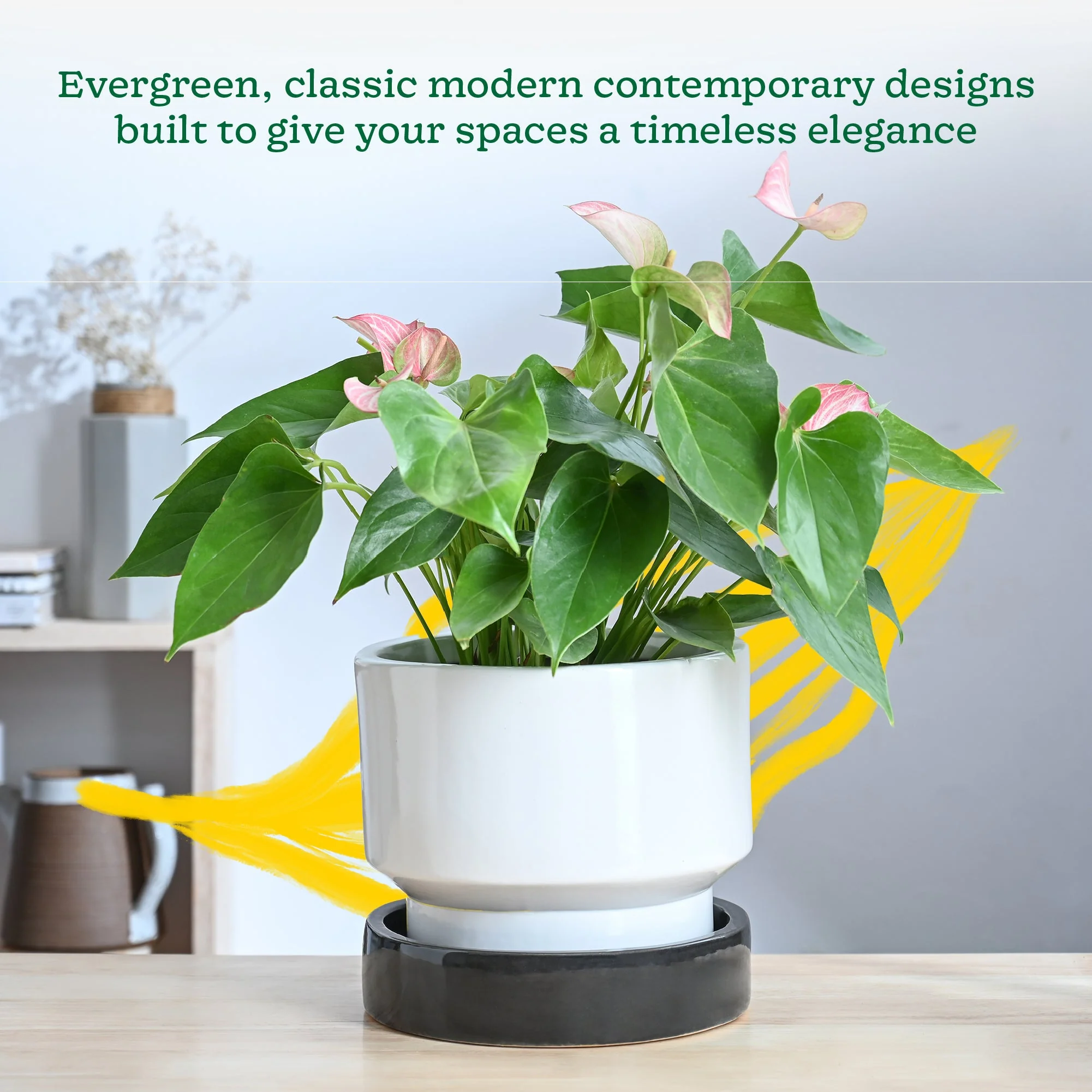 Soothing Rains Ceramic Planters - Image 71