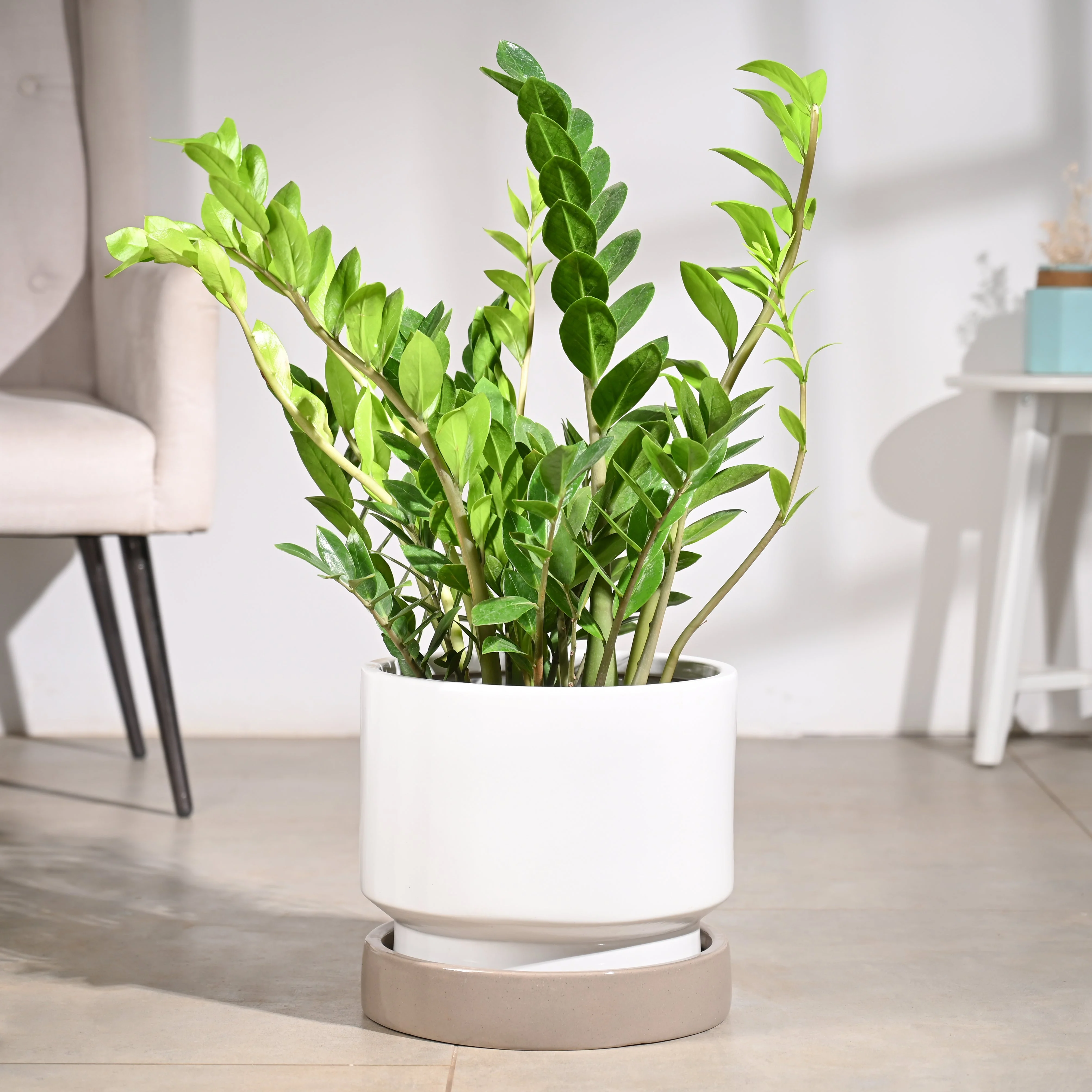 Soothing Rains Ceramic Planters - Image 73
