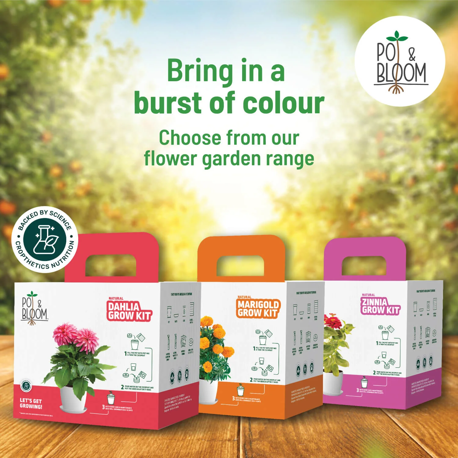 Spinach Grow Kit - Image 6