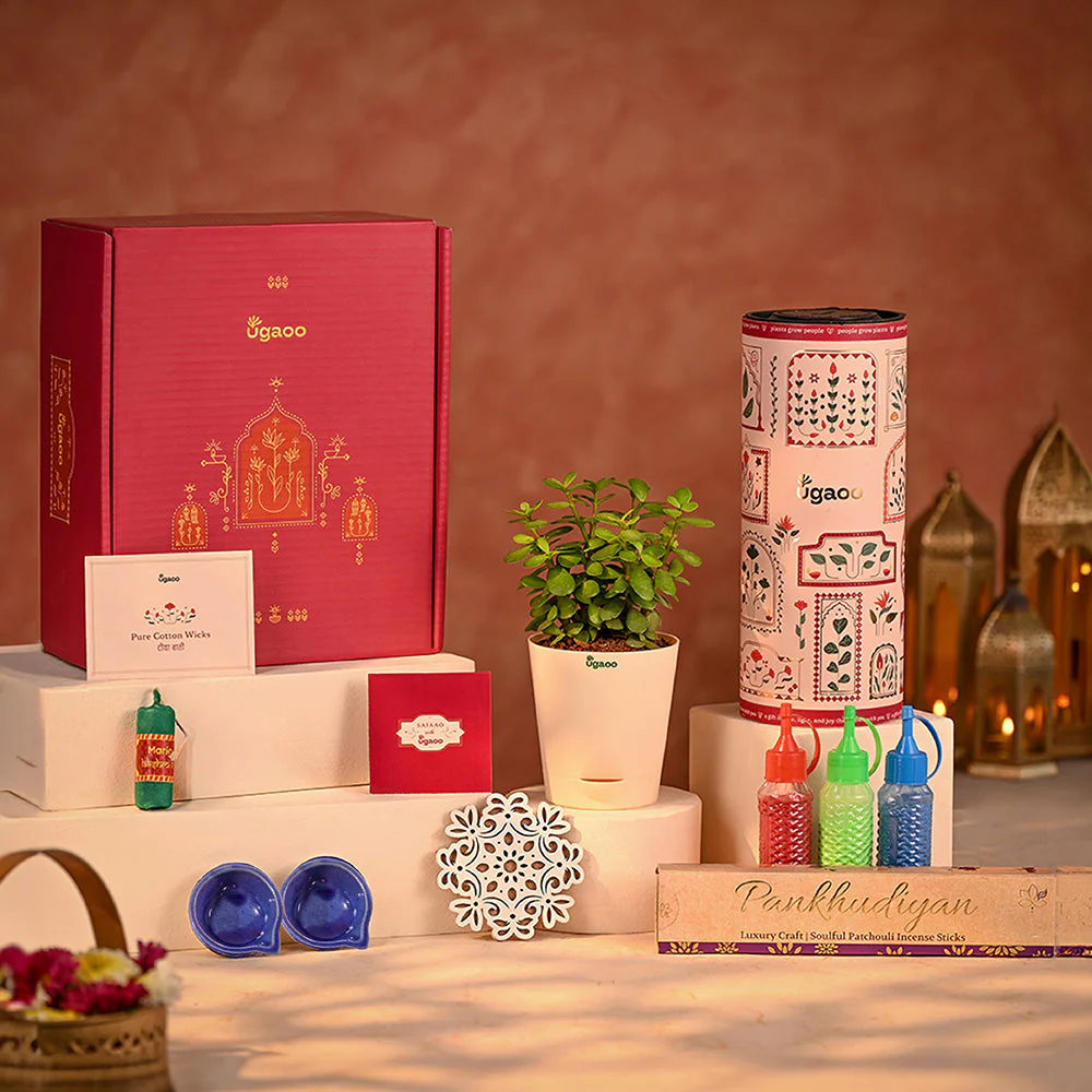 Spirit of Devotion- Diwali Gift Hamper with Jade Mini Plant - Image 12