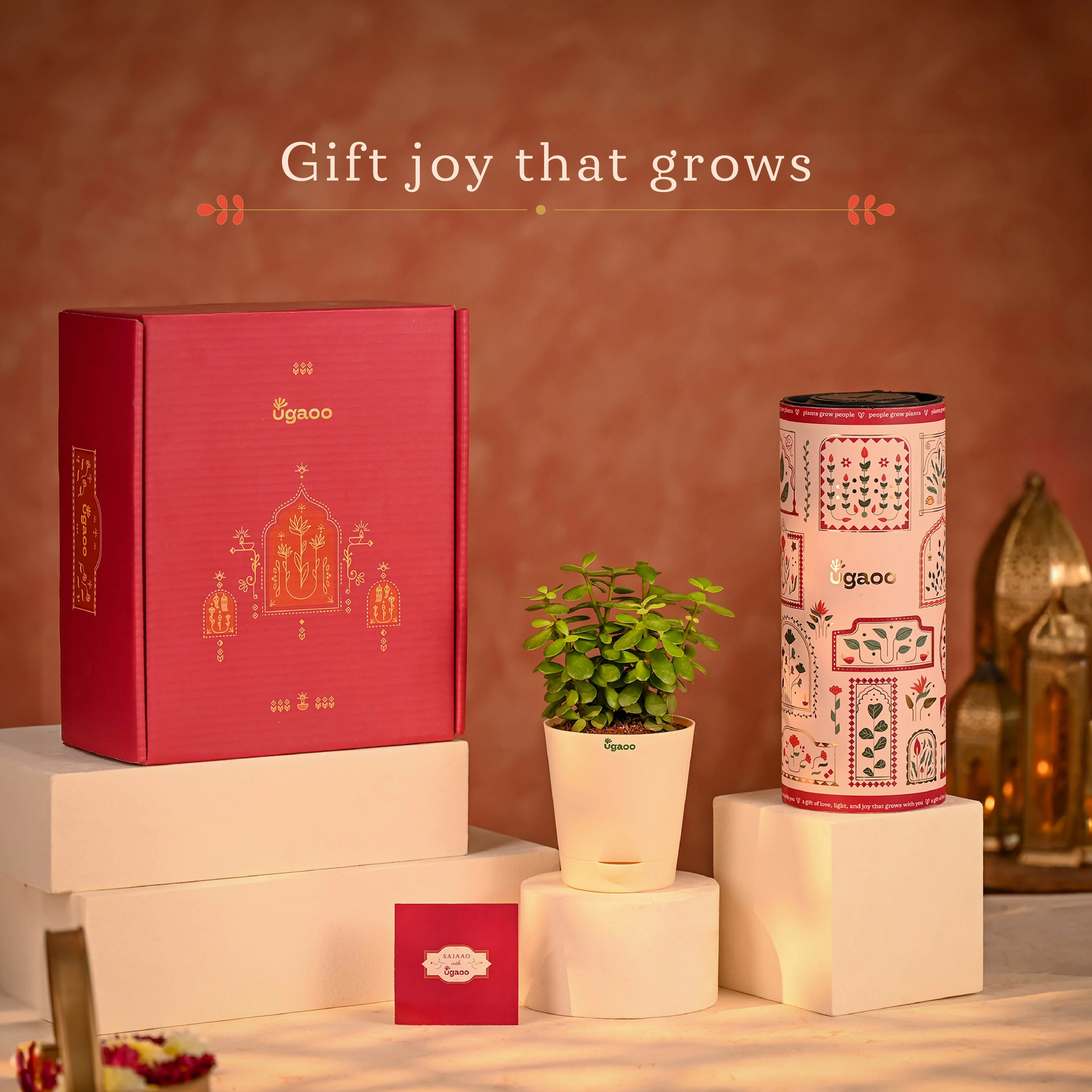 Spirit of Devotion- Diwali Gift Hamper with Jade Mini Plant - Image 13