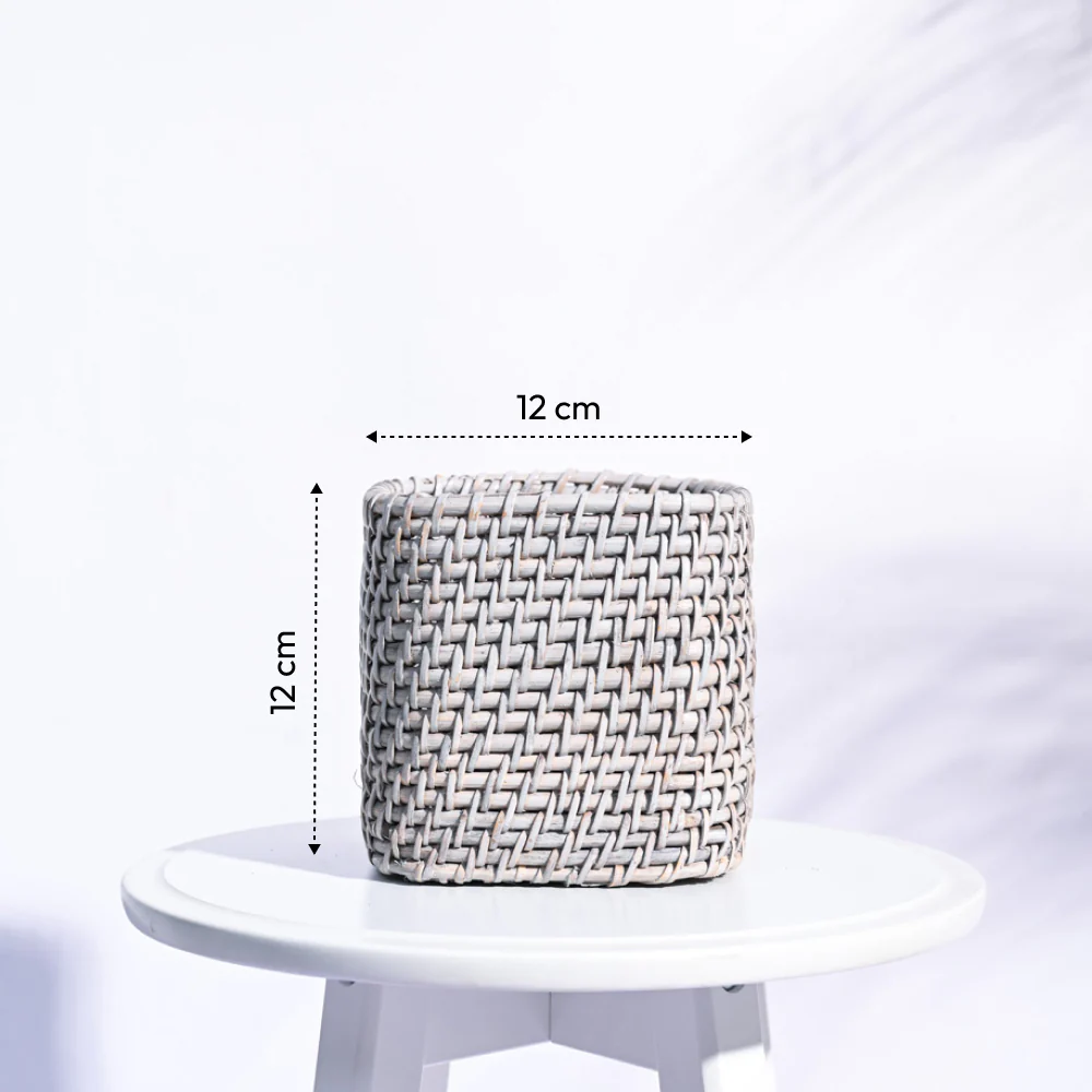 Square Cane Planter - Image 13