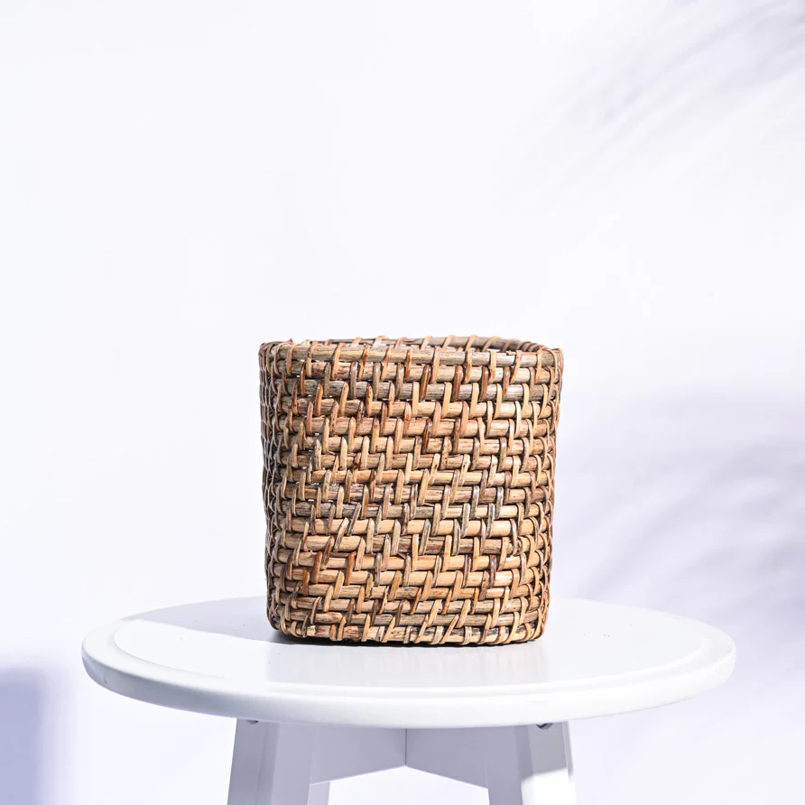 Square Cane Planter - Image 19