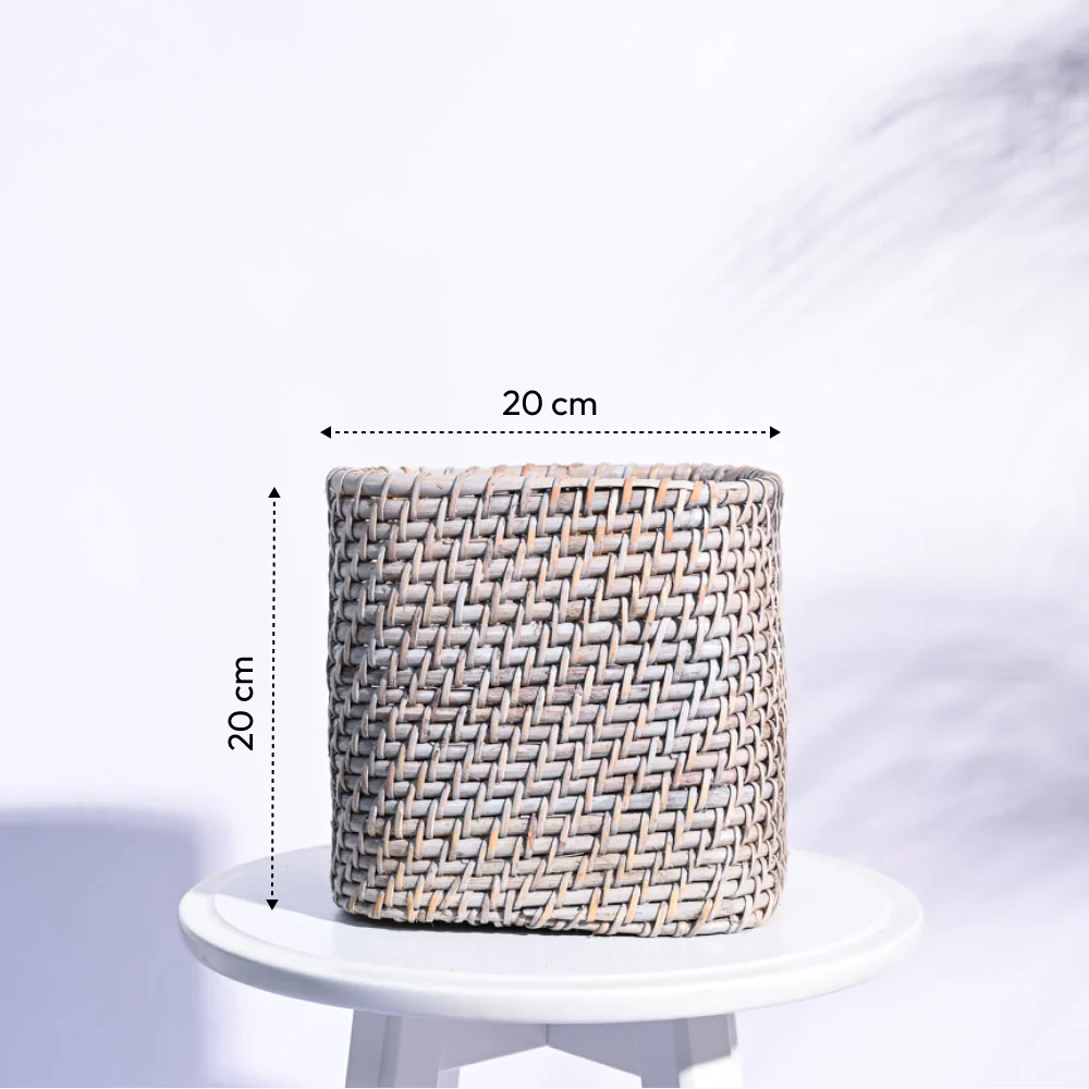 Square Cane Planter - Image 23
