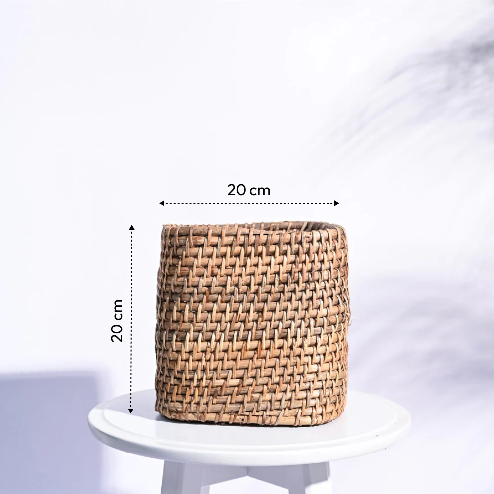 Square Cane Planter - Image 27