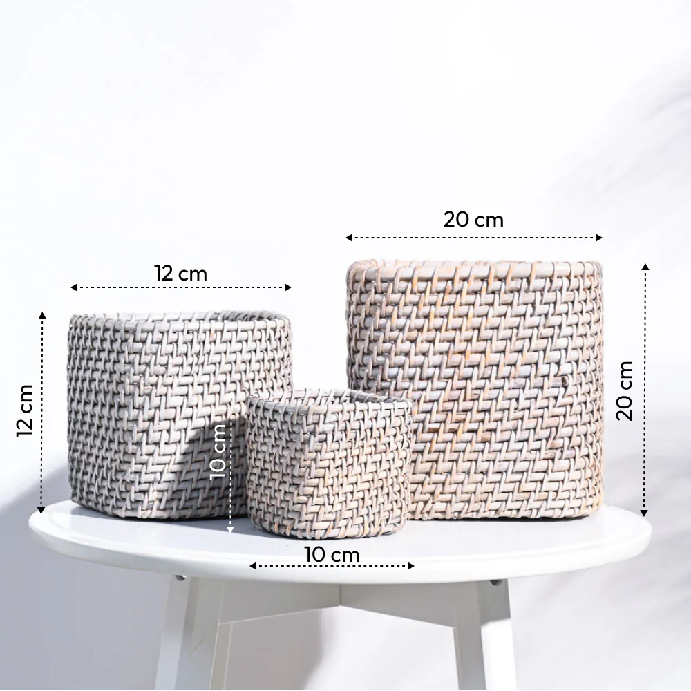 Square Cane Planter - Image 34