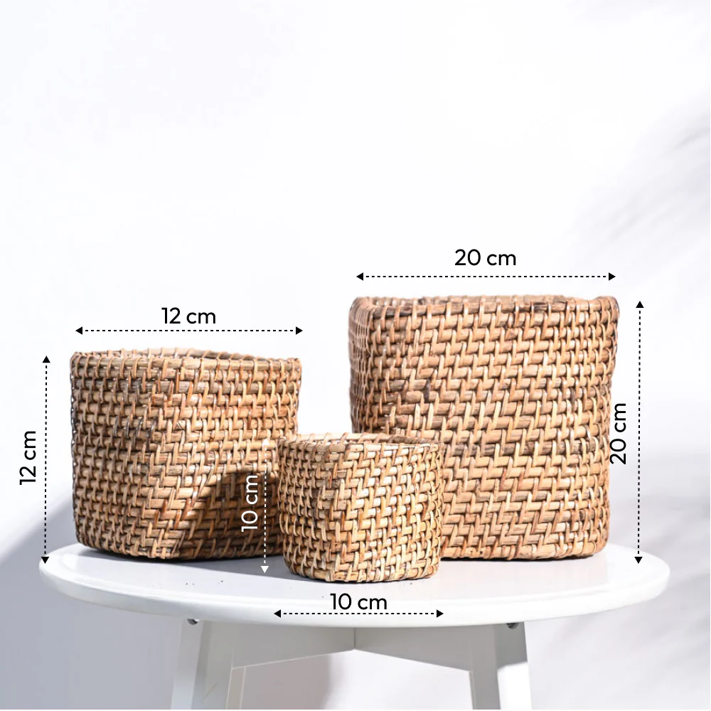 Square Cane Planter - Image 38