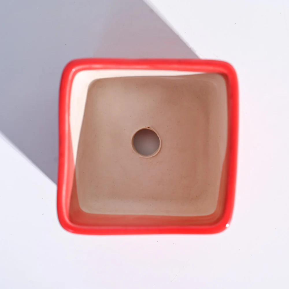 Square Ceramic Pot (3.5 Inch Width) - Image 15