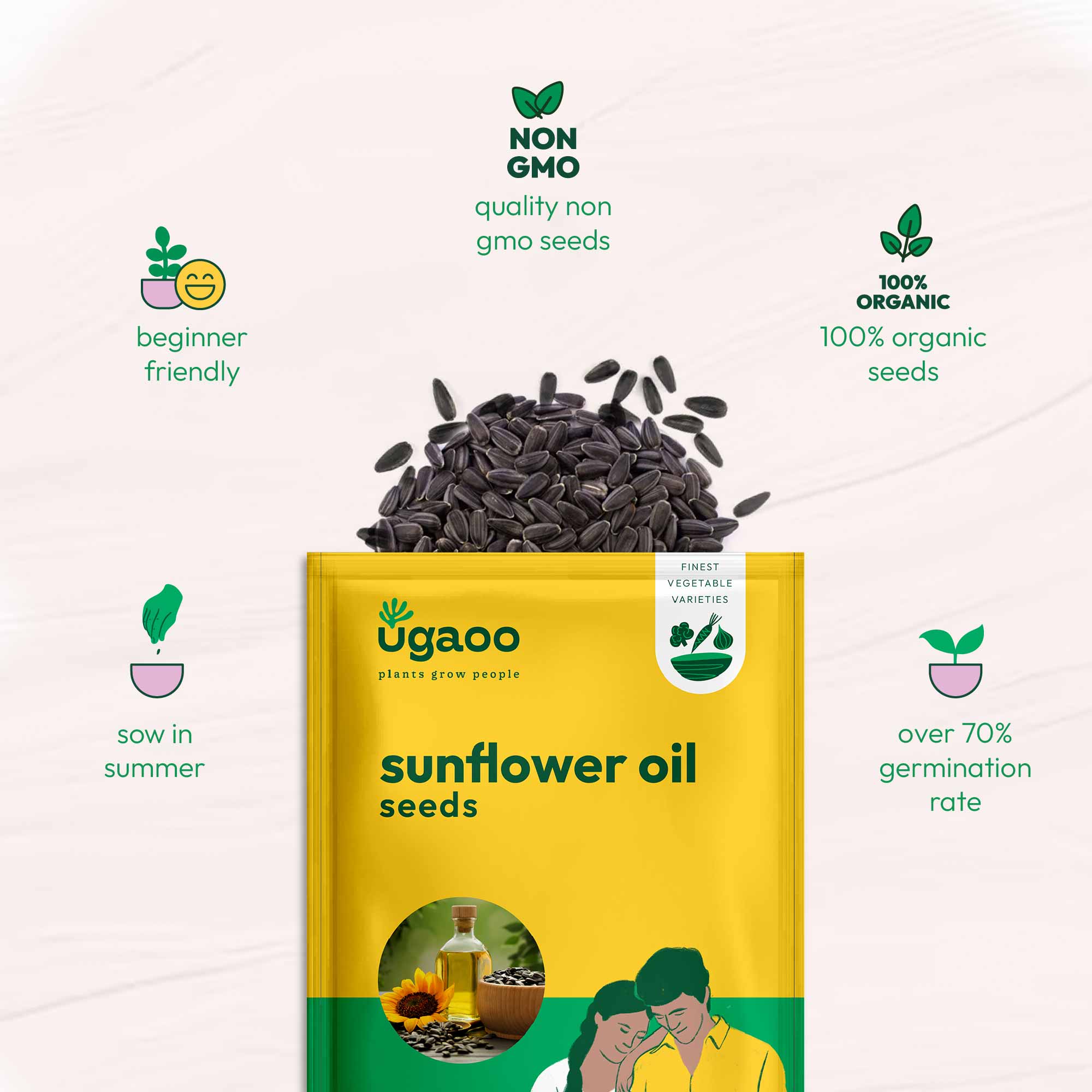 Sunflower Oil Seeds - Image 15