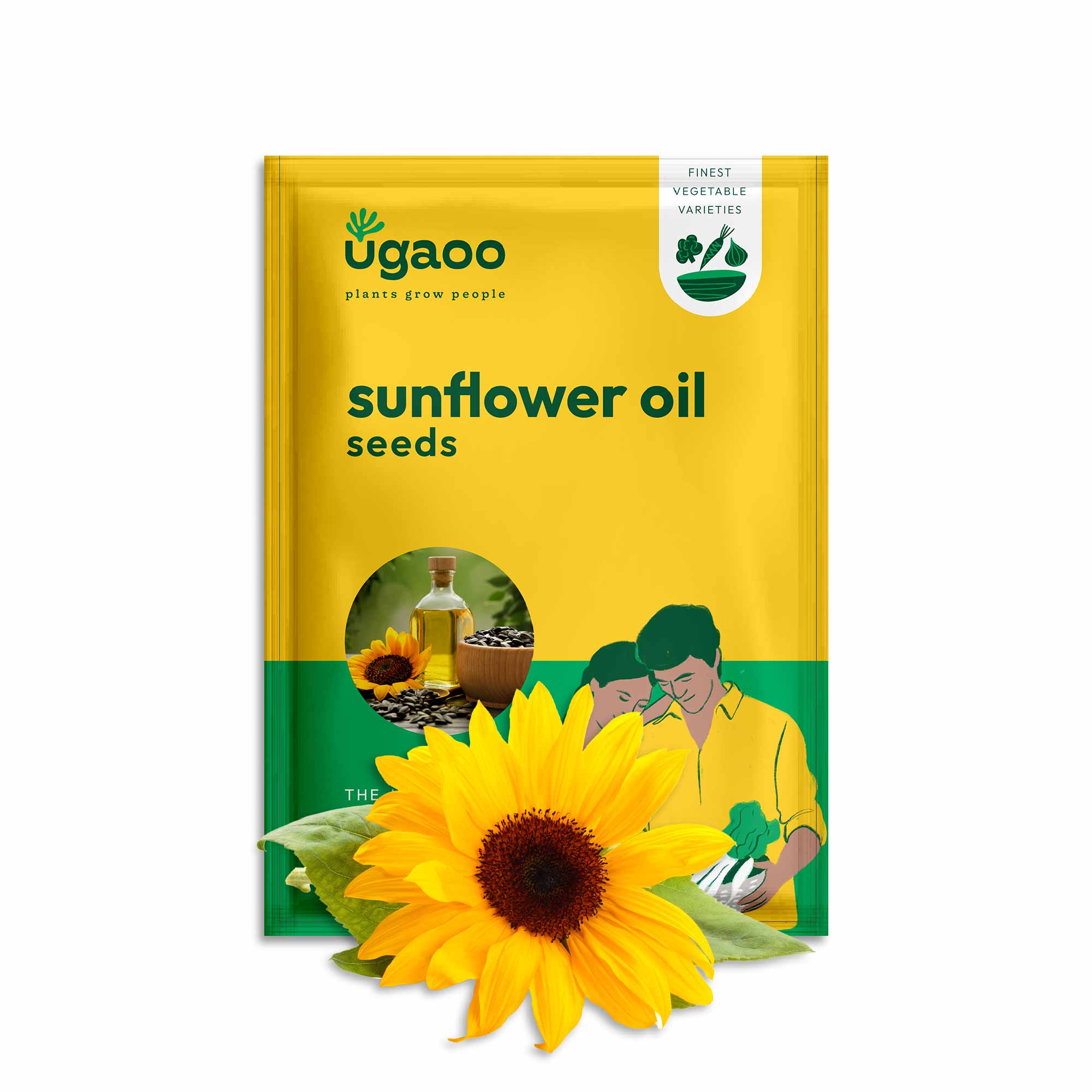 Sunflower Oil Seeds - Image 2