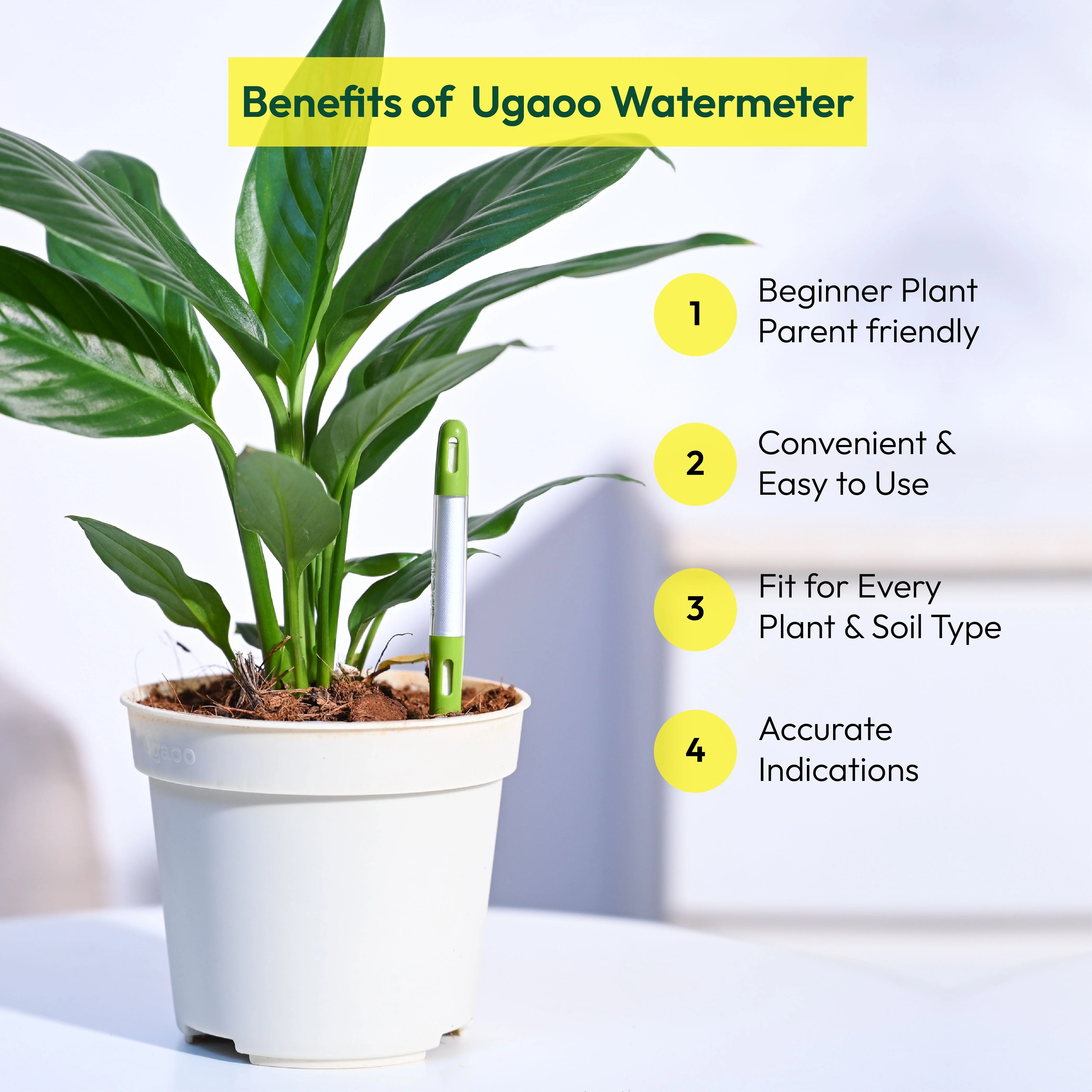 Sustee Watermeter (Set of 3) - Image 13