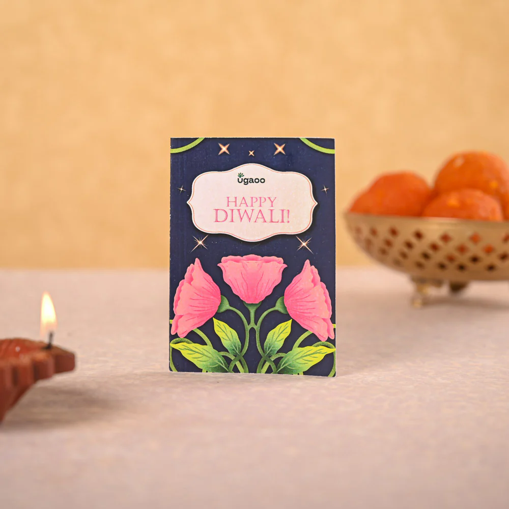 Syngonium Pink Plant and Nutki Diwali Gift Hamper - Image 4