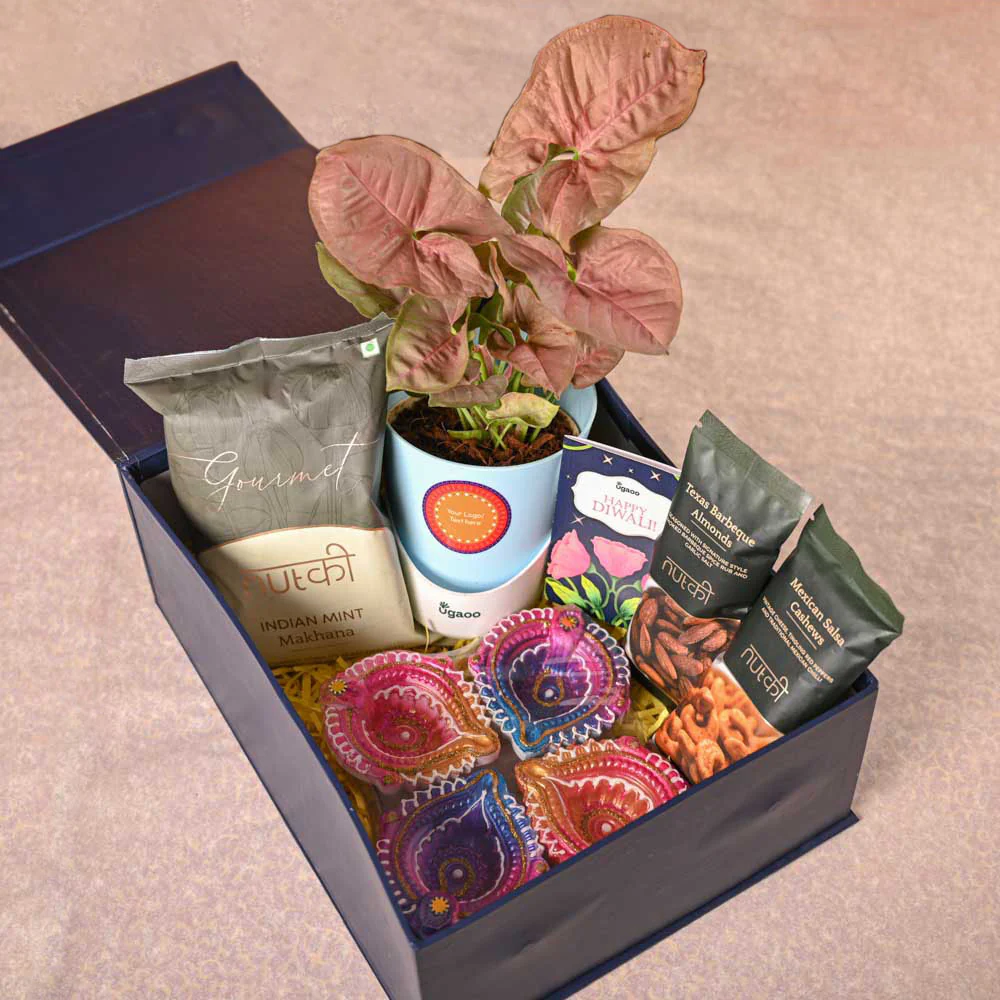 Syngonium Pink Plant and Nutki Diwali Gift Hamper - Image 7