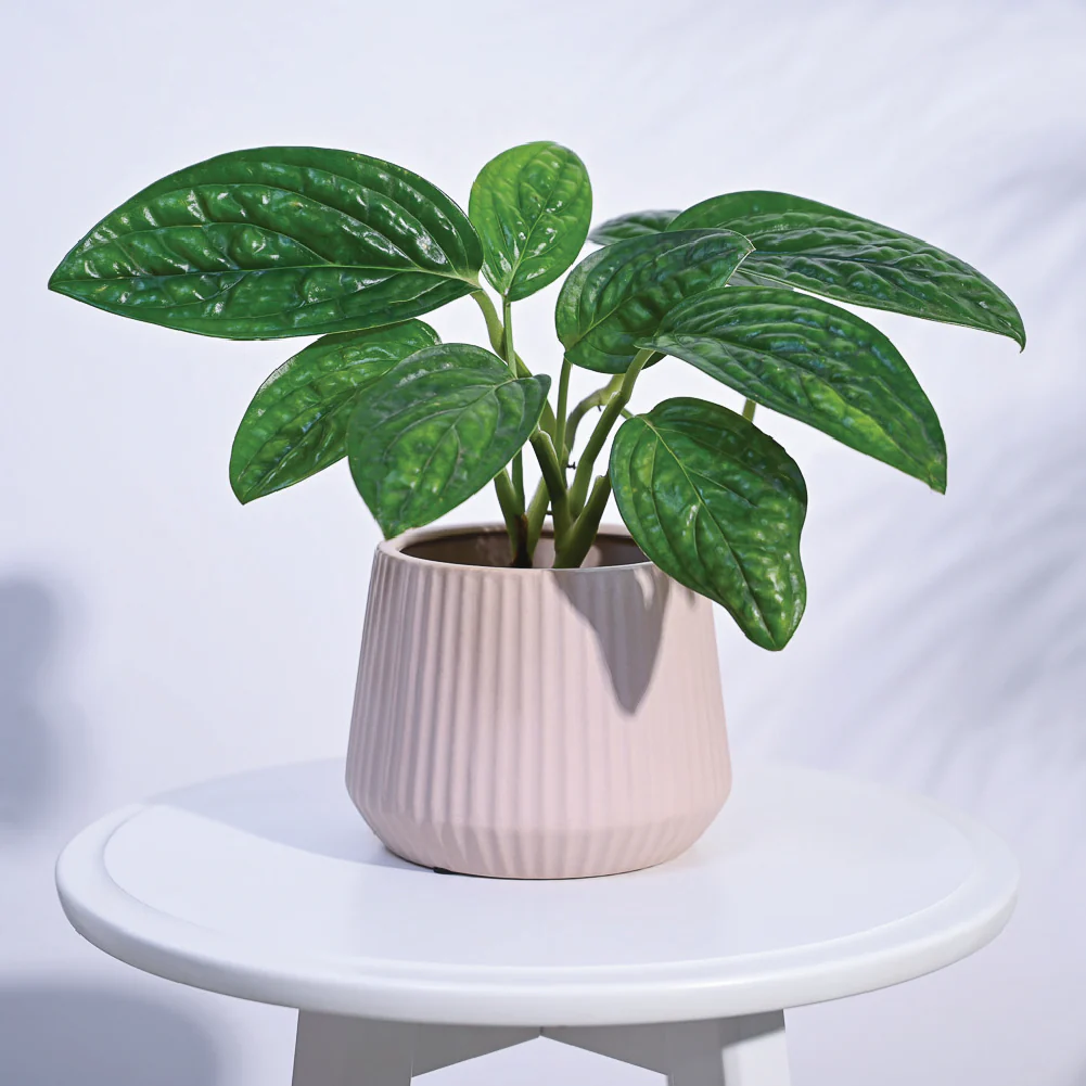 Synth Ceramic Pot