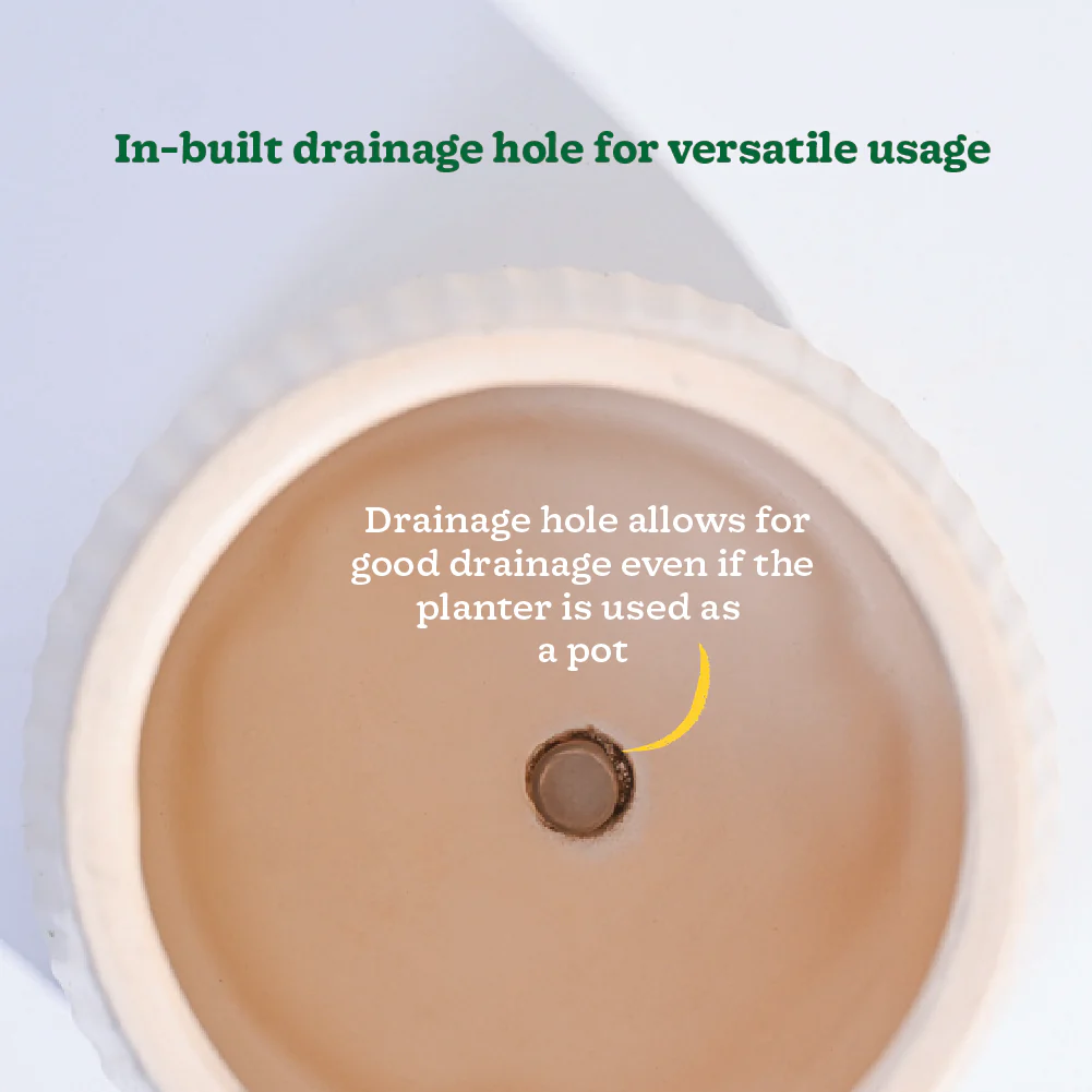 Synth Ceramic Pot - Image 11